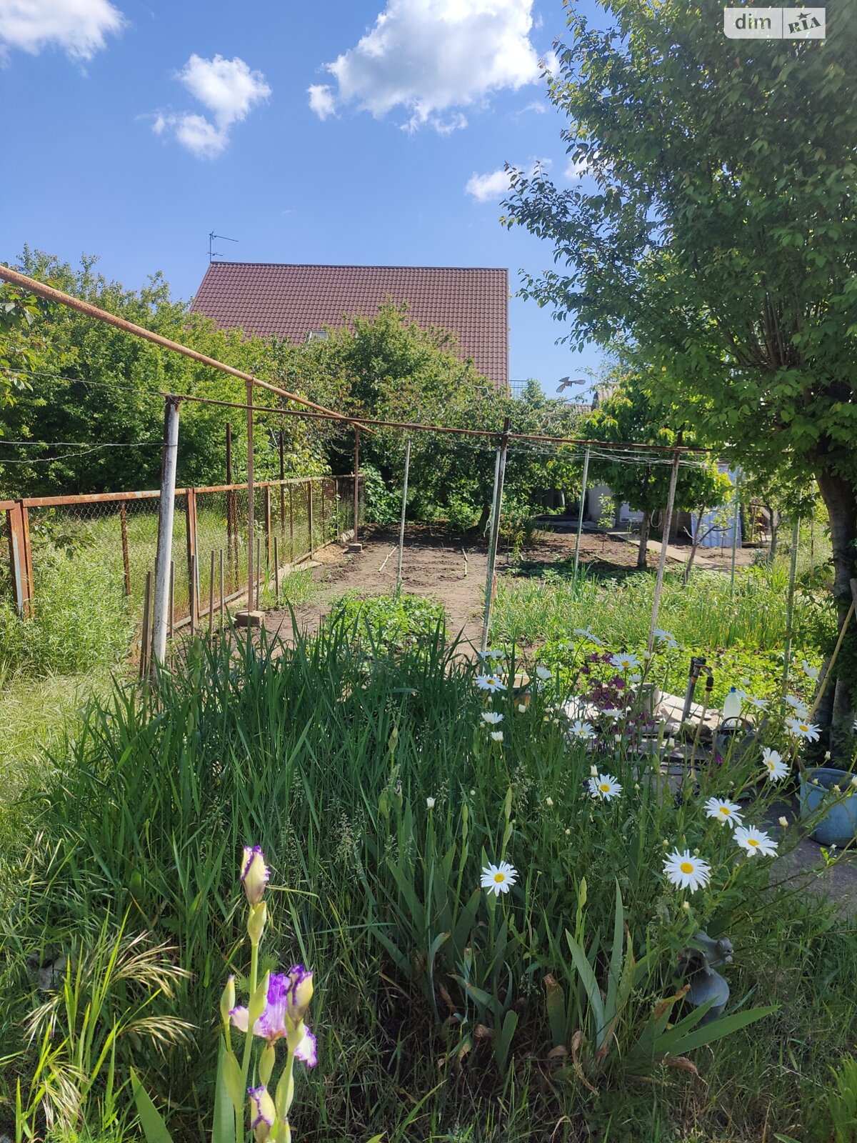 одноповерховий будинок, 68.8 кв. м, цегла. Продаж в Одесі, район Великий Фонтан фото 1 одноповерховий будинок, 68.8 кв. м, цегла. Продаж в Одесі, район Великий Фонтан фото 1