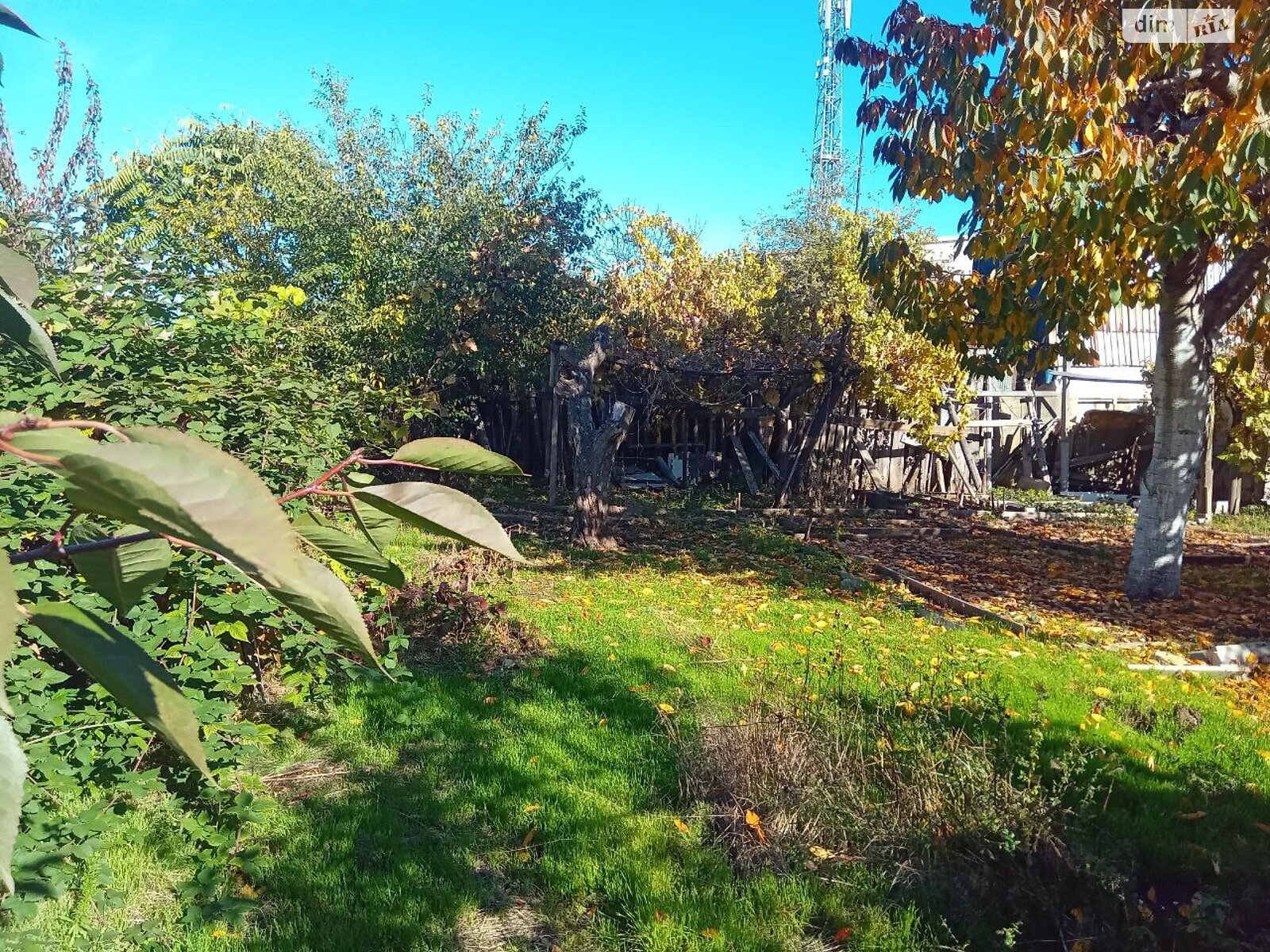 одноэтажный дом с гаражом, 55 кв. м, кирпич. Продажа в Одессе район Черемушки фото 1