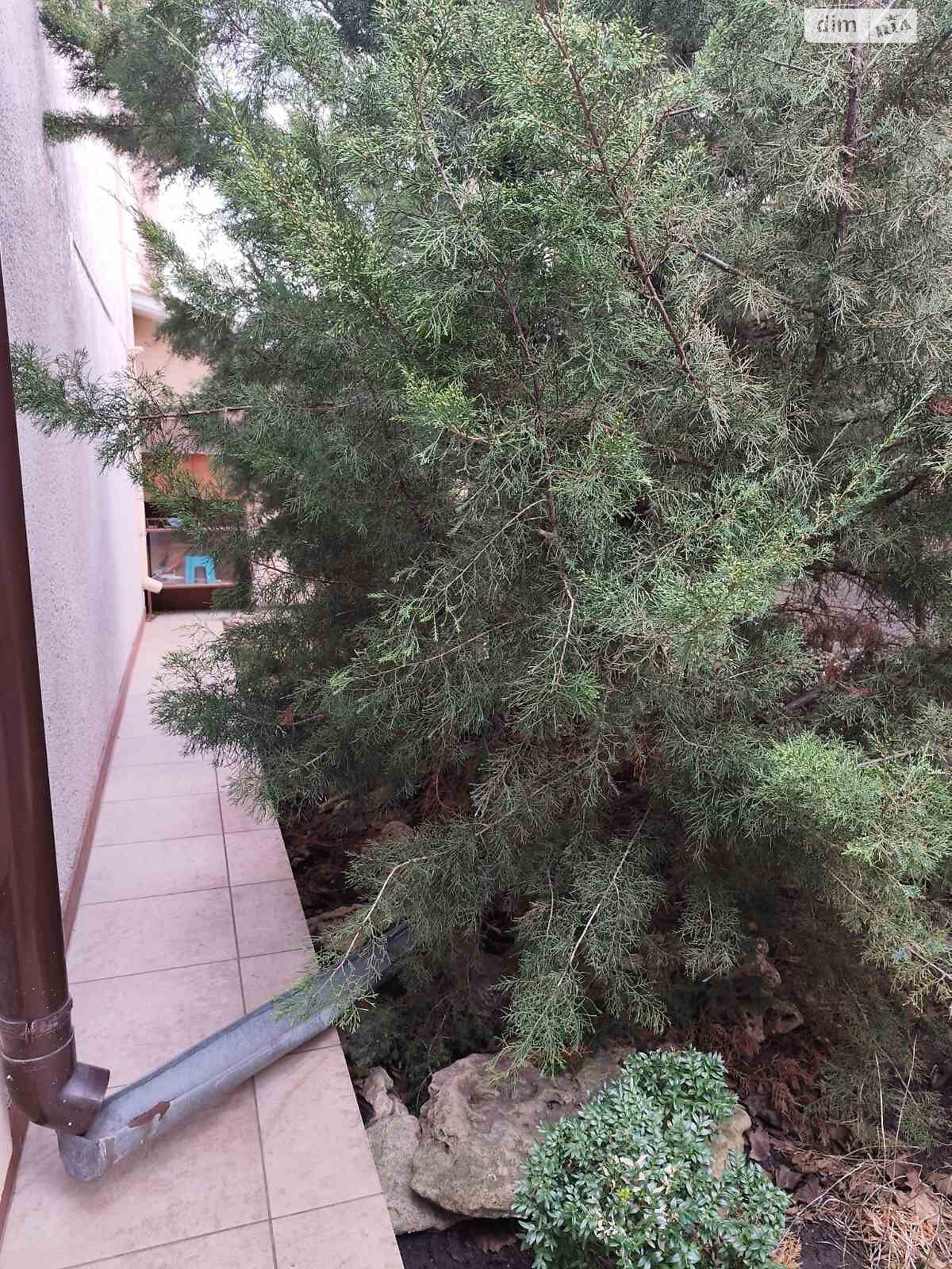 двухэтажный дом, 150 кв. м, кирпич. Продажа в Одессе район Черноморка фото 1 двухэтажный дом, 150 кв. м, кирпич. Продажа в Одессе район Черноморка фото 1