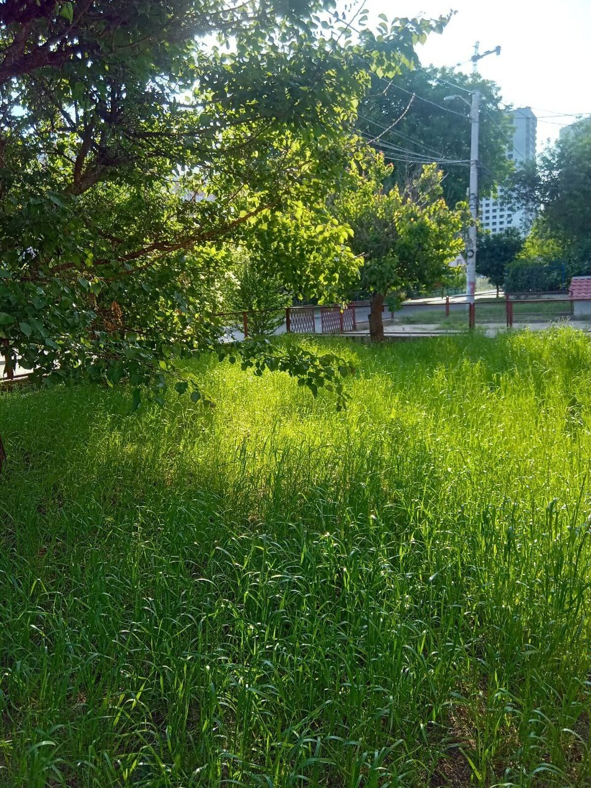 двухэтажный дом, 309 кв. м, кирпич. Продажа в Одессе район Приморский фото 1