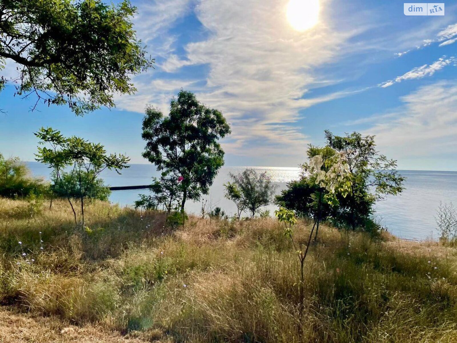 двухэтажный дом, 309 кв. м, кирпич. Продажа в Одессе район Приморский фото 1