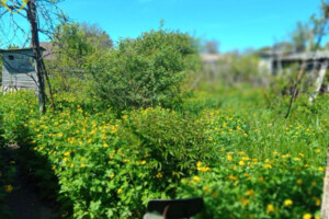 одноэтажный дом, 73.2 кв. м, кирпич. Продажа в Одессе район Чубаевка фото 2