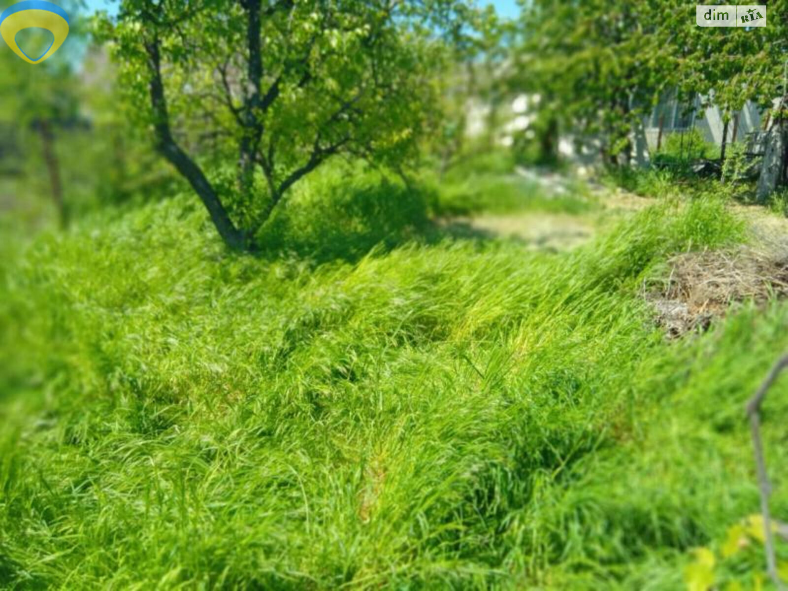 одноэтажный дом, 73.2 кв. м, кирпич. Продажа в Одессе район Чубаевка фото 1 одноэтажный дом, 73.2 кв. м, кирпич. Продажа в Одессе район Чубаевка фото 1