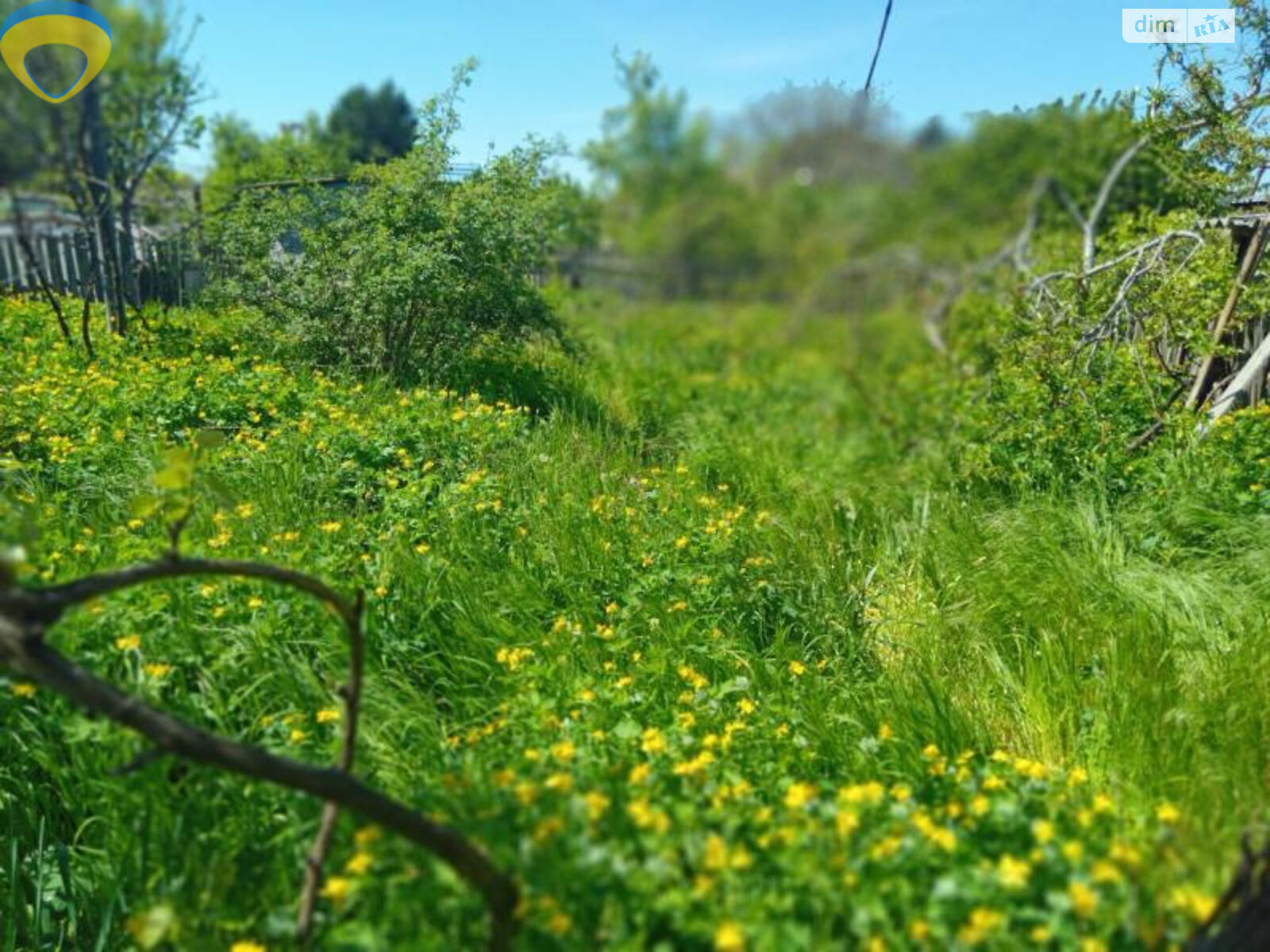 одноэтажный дом, 73.2 кв. м, кирпич. Продажа в Одессе район Чубаевка фото 1 одноэтажный дом, 73.2 кв. м, кирпич. Продажа в Одессе район Чубаевка фото 1