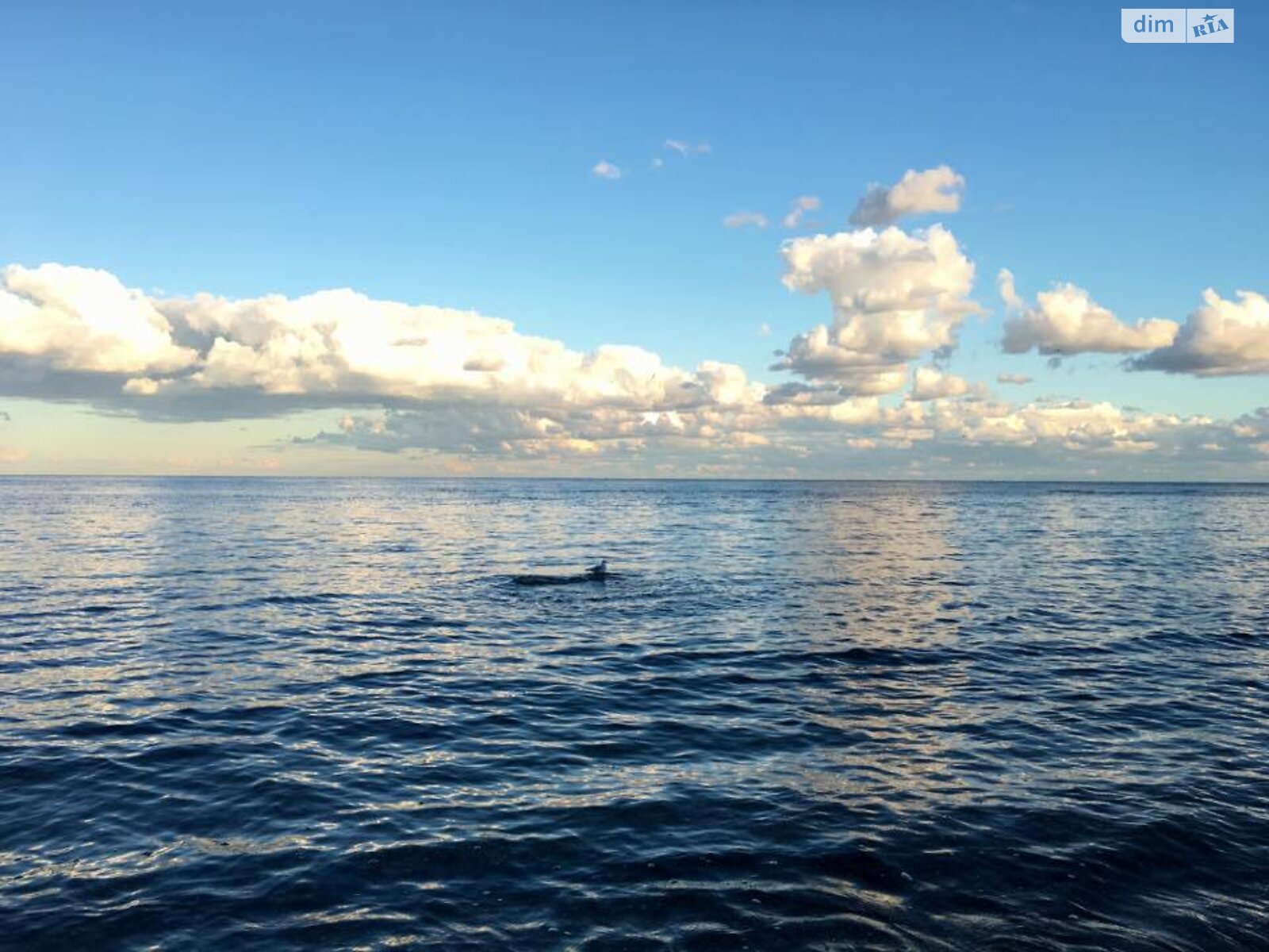 одноэтажный дом, 73.2 кв. м, кирпич. Продажа в Одессе район Чубаевка фото 1 одноэтажный дом, 73.2 кв. м, кирпич. Продажа в Одессе район Чубаевка фото 1