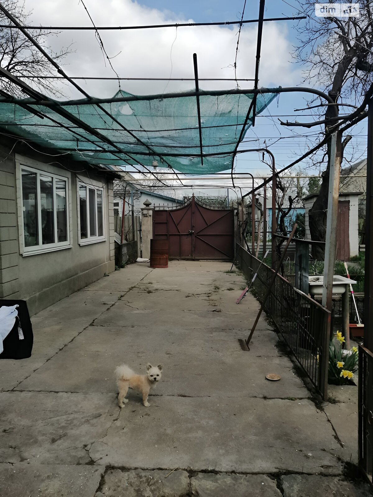 одноэтажный дом, 60 кв. м, ракушечник (ракушняк). Продажа в Одессе район Хаджибейский фото 1 одноэтажный дом, 60 кв. м, ракушечник (ракушняк). Продажа в Одессе район Хаджибейский фото 1
