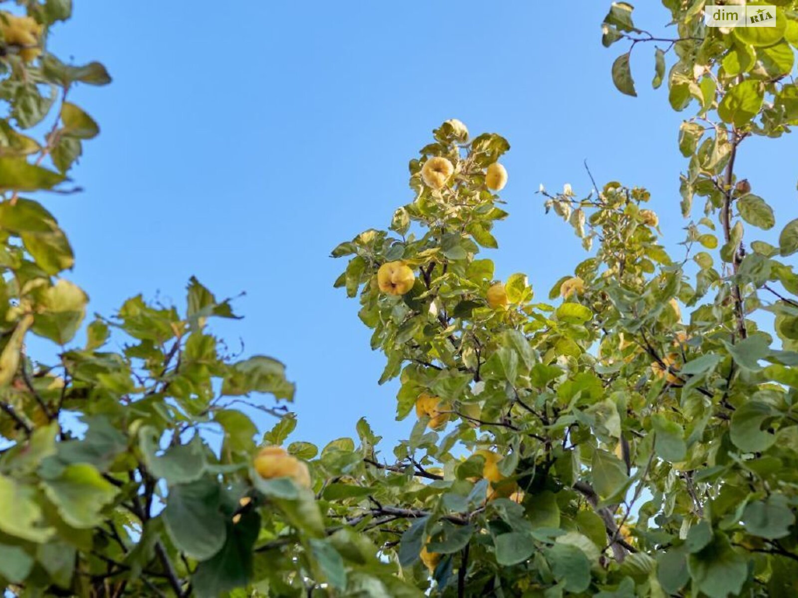 двоповерховий будинок з меблями, 74.5 кв. м, цегла. Продаж в Одесі, район Хаджибейський фото 1