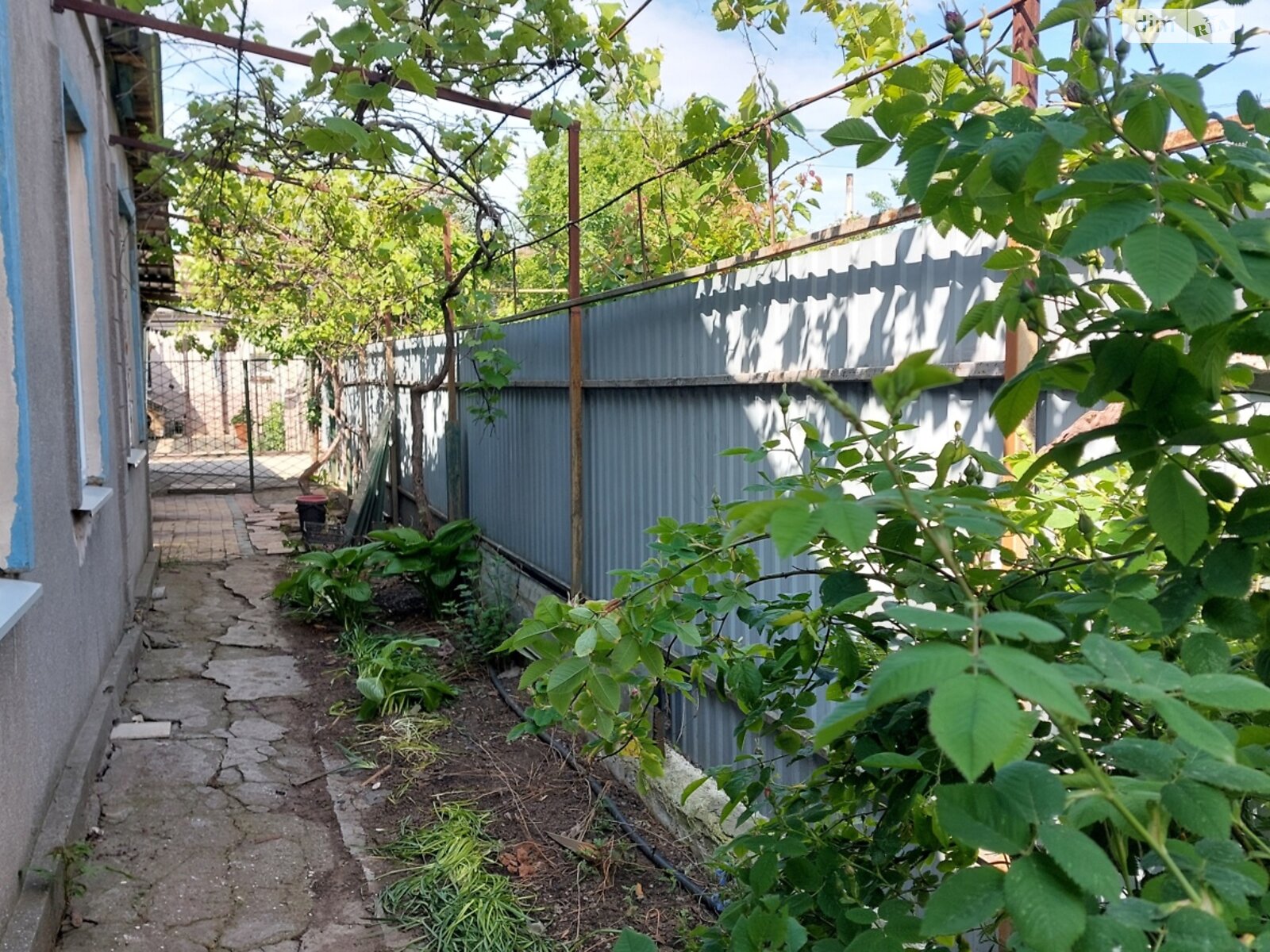 одноповерховий будинок, 89 кв. м, ракушечник (ракушняк). Продаж в Одесі, район Хаджибейський фото 1 одноповерховий будинок, 89 кв. м, ракушечник (ракушняк). Продаж в Одесі, район Хаджибейський фото 1