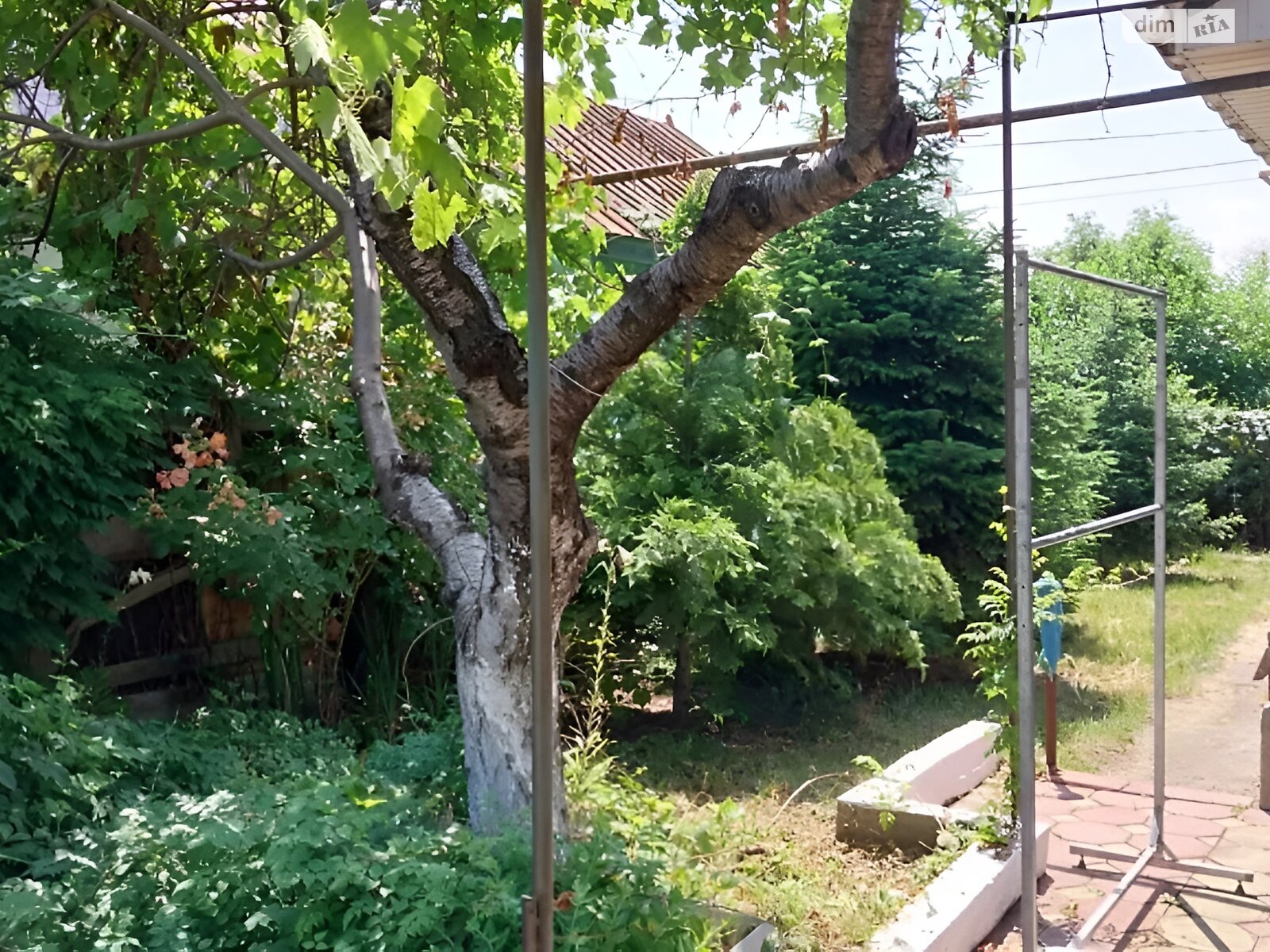 одноэтажный дом с гаражом, 164 кв. м, кирпич. Продажа в Одессе район Хаджибейский фото 1 одноэтажный дом с гаражом, 164 кв. м, кирпич. Продажа в Одессе район Хаджибейский фото 1