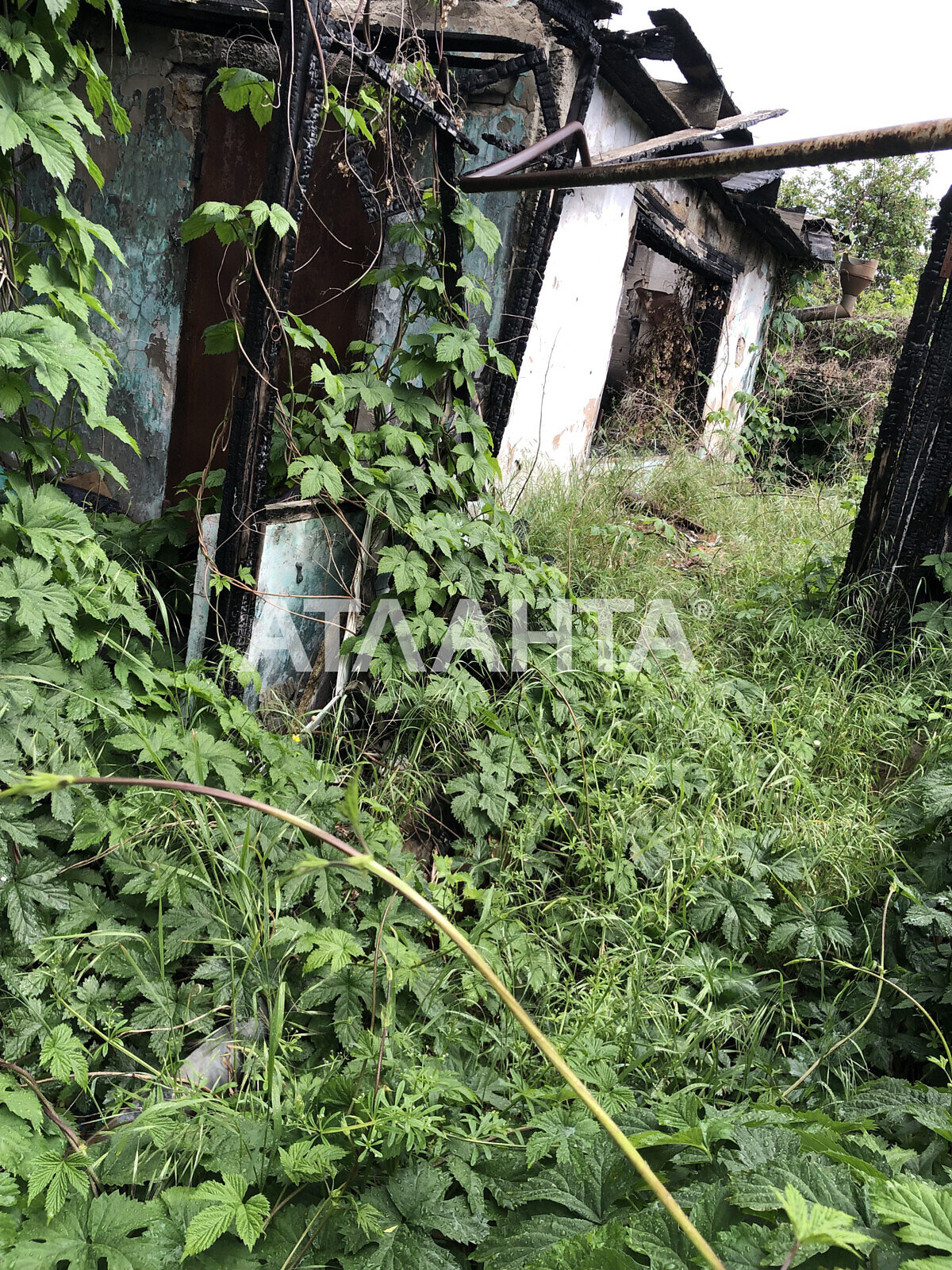 одноповерховий будинок бесідка, 142 кв. м, ракушечник (ракушняк). Продаж в Одесі, район Київський фото 1 одноповерховий будинок бесідка, 142 кв. м, ракушечник (ракушняк). Продаж в Одесі, район Київський фото 1