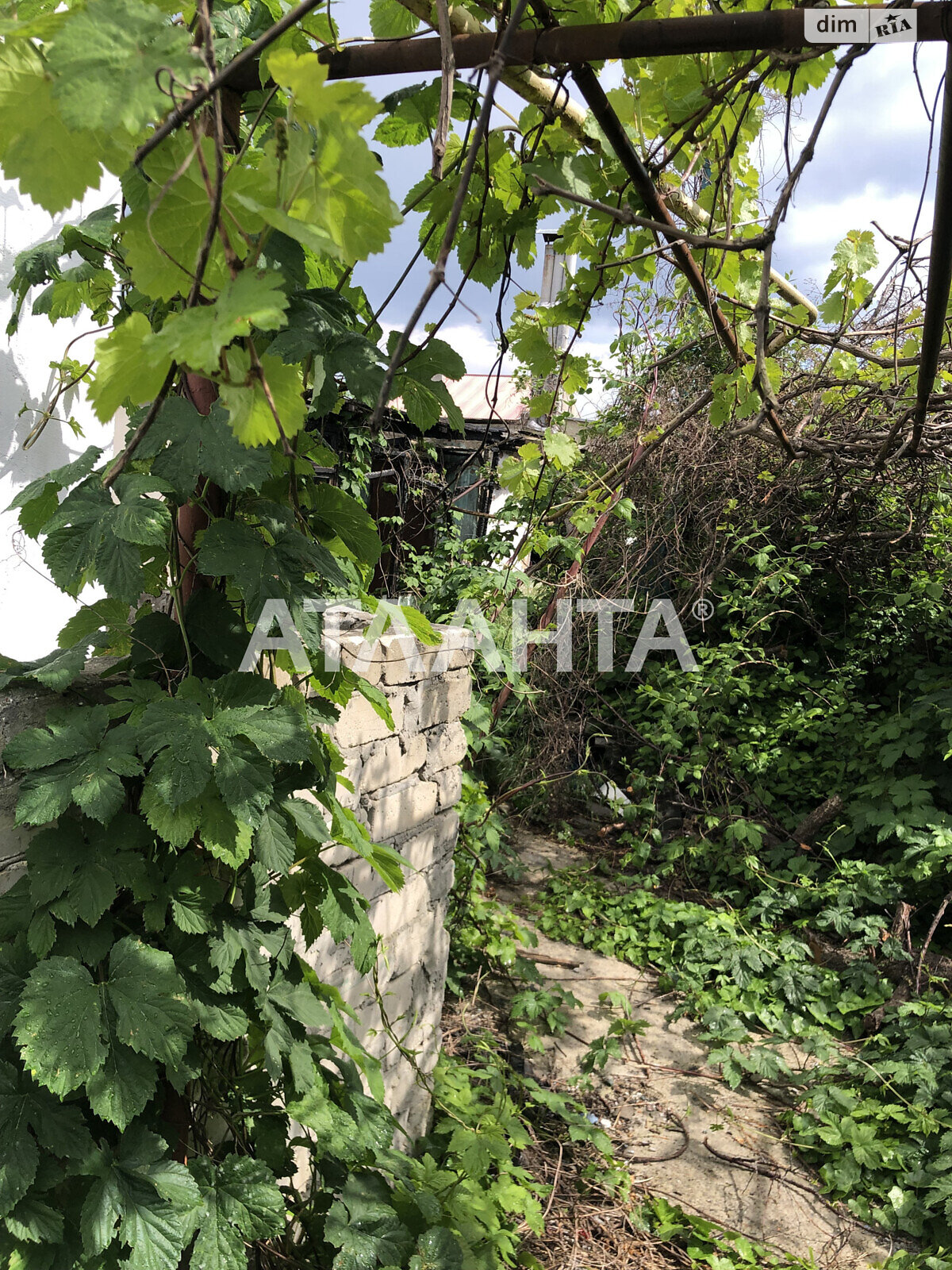 одноповерховий будинок бесідка, 142 кв. м, ракушечник (ракушняк). Продаж в Одесі, район Київський фото 1 одноповерховий будинок бесідка, 142 кв. м, ракушечник (ракушняк). Продаж в Одесі, район Київський фото 1