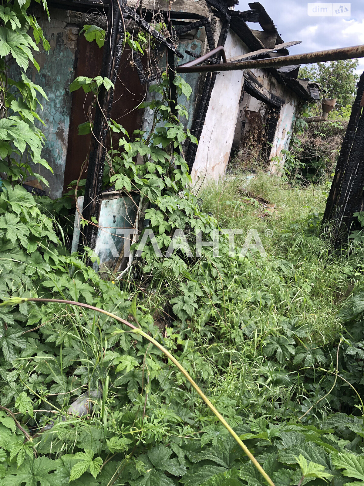 одноповерховий будинок бесідка, 142 кв. м, ракушечник (ракушняк). Продаж в Одесі, район Київський фото 1