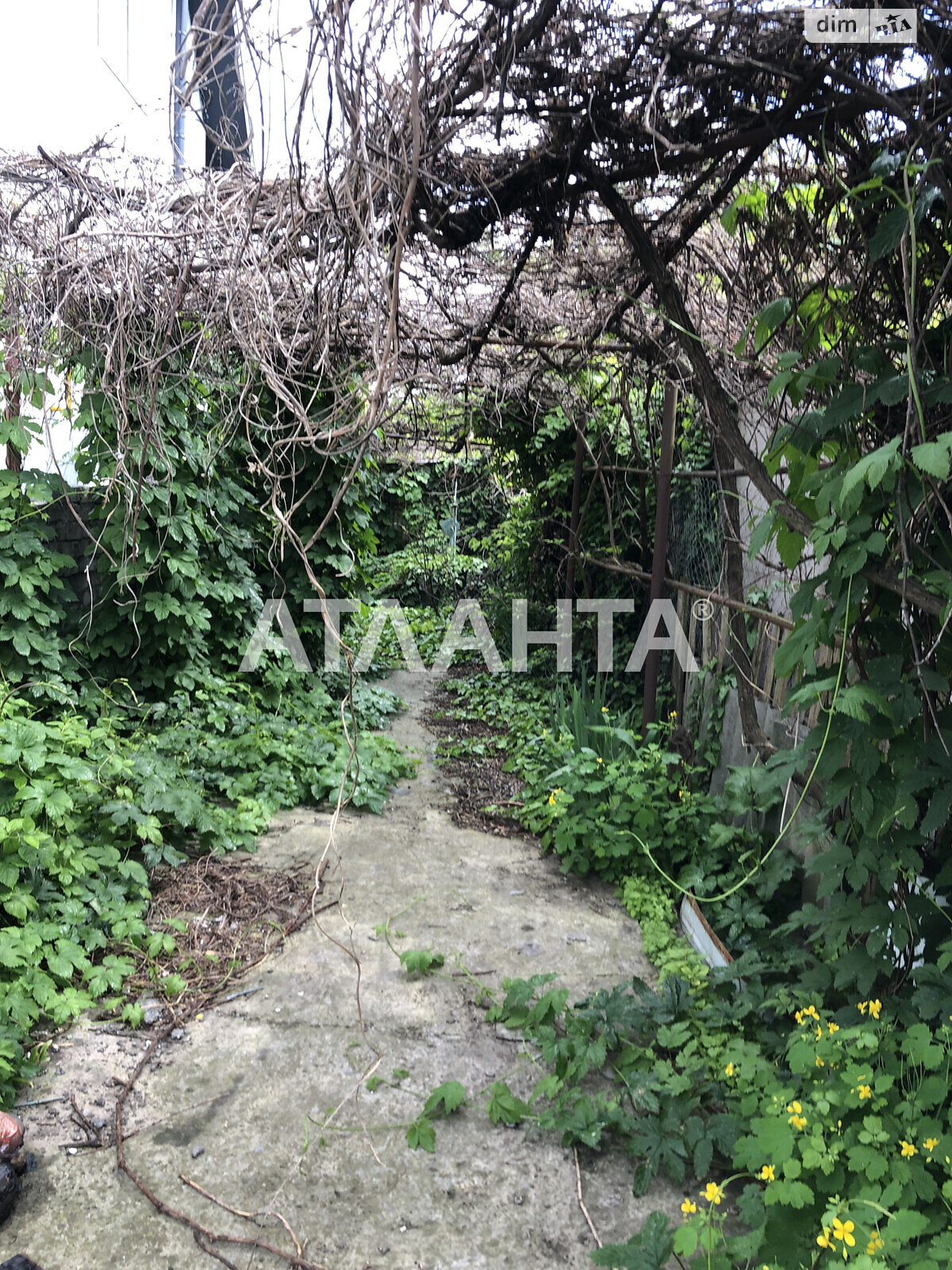 одноповерховий будинок бесідка, 142 кв. м, ракушечник (ракушняк). Продаж в Одесі, район Київський фото 1 одноповерховий будинок бесідка, 142 кв. м, ракушечник (ракушняк). Продаж в Одесі, район Київський фото 1