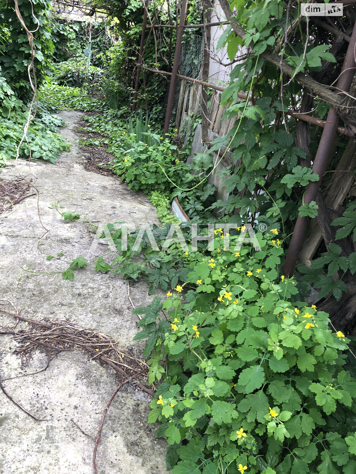 одноповерховий будинок бесідка, 142 кв. м, ракушечник (ракушняк). Продаж в Одесі, район Київський фото 1 одноповерховий будинок бесідка, 142 кв. м, ракушечник (ракушняк). Продаж в Одесі, район Київський фото 1