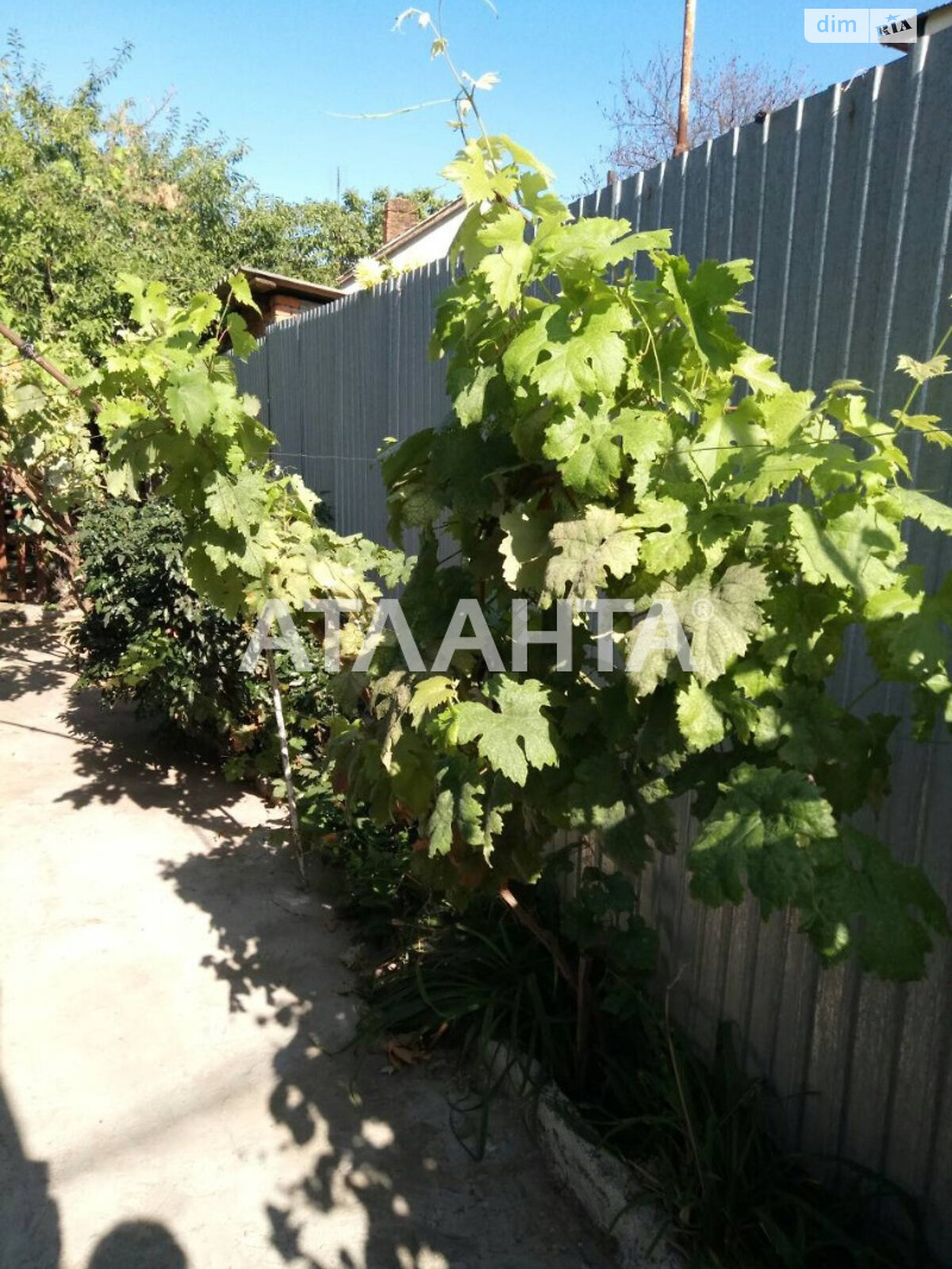 одноэтажный дом беседка, 90 кв. м, ракушечник (ракушняк). Продажа в Одессе район Киевский фото 2 одноэтажный дом беседка, 90 кв. м, ракушечник (ракушняк). Продажа в Одессе район Киевский фото 2