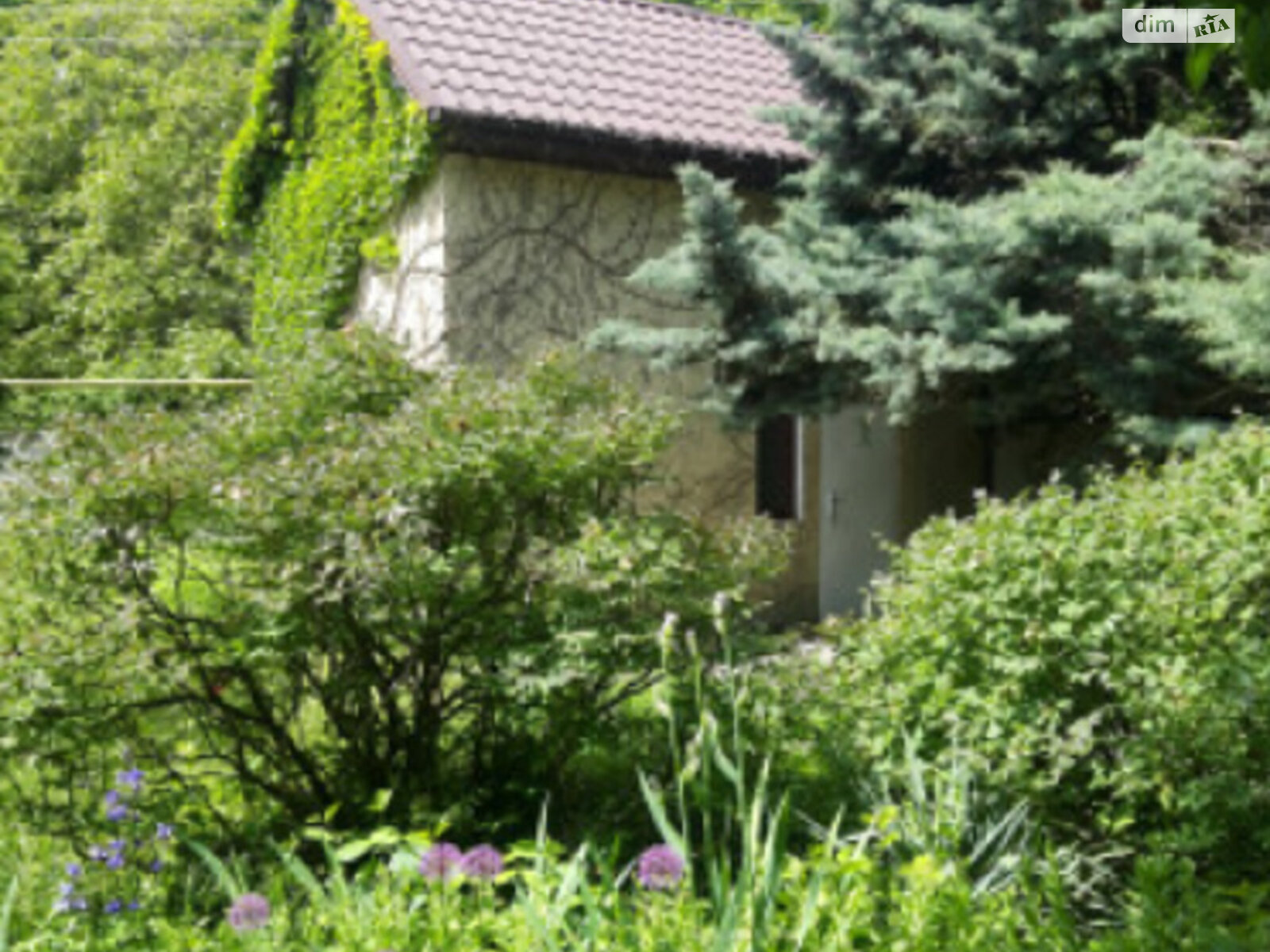 двоповерховий будинок, 120 кв. м, ракушечник (ракушняк). Продаж в Одесі, район Київський фото 1 двоповерховий будинок, 120 кв. м, ракушечник (ракушняк). Продаж в Одесі, район Київський фото 1