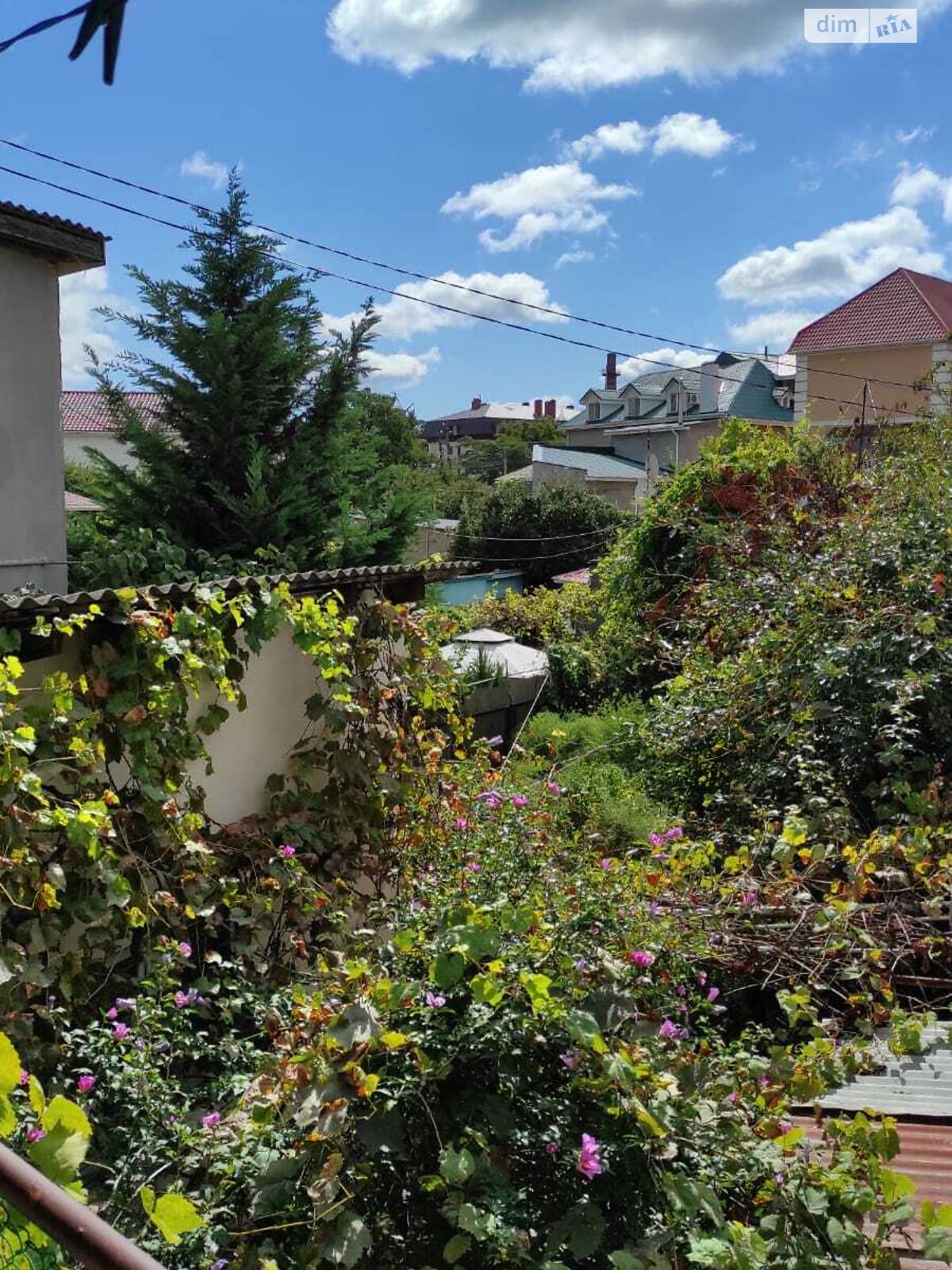 одноэтажный дом, 80 кв. м, ракушечник (ракушняк). Продажа в Одессе район Киевский фото 1 одноэтажный дом, 80 кв. м, ракушечник (ракушняк). Продажа в Одессе район Киевский фото 1