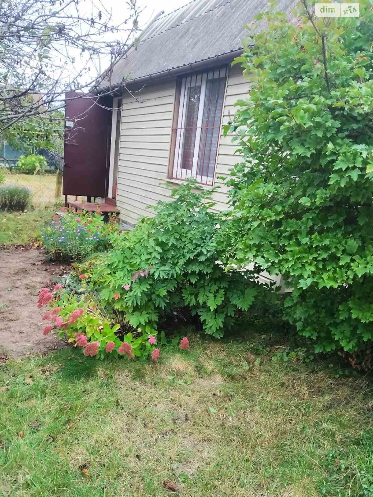 одноповерховий будинок, 50 кв. м, кирпич. Продаж в Київському (Одеська обл.) фото 1 одноповерховий будинок, 50 кв. м, кирпич. Продаж в Київському (Одеська обл.) фото 1