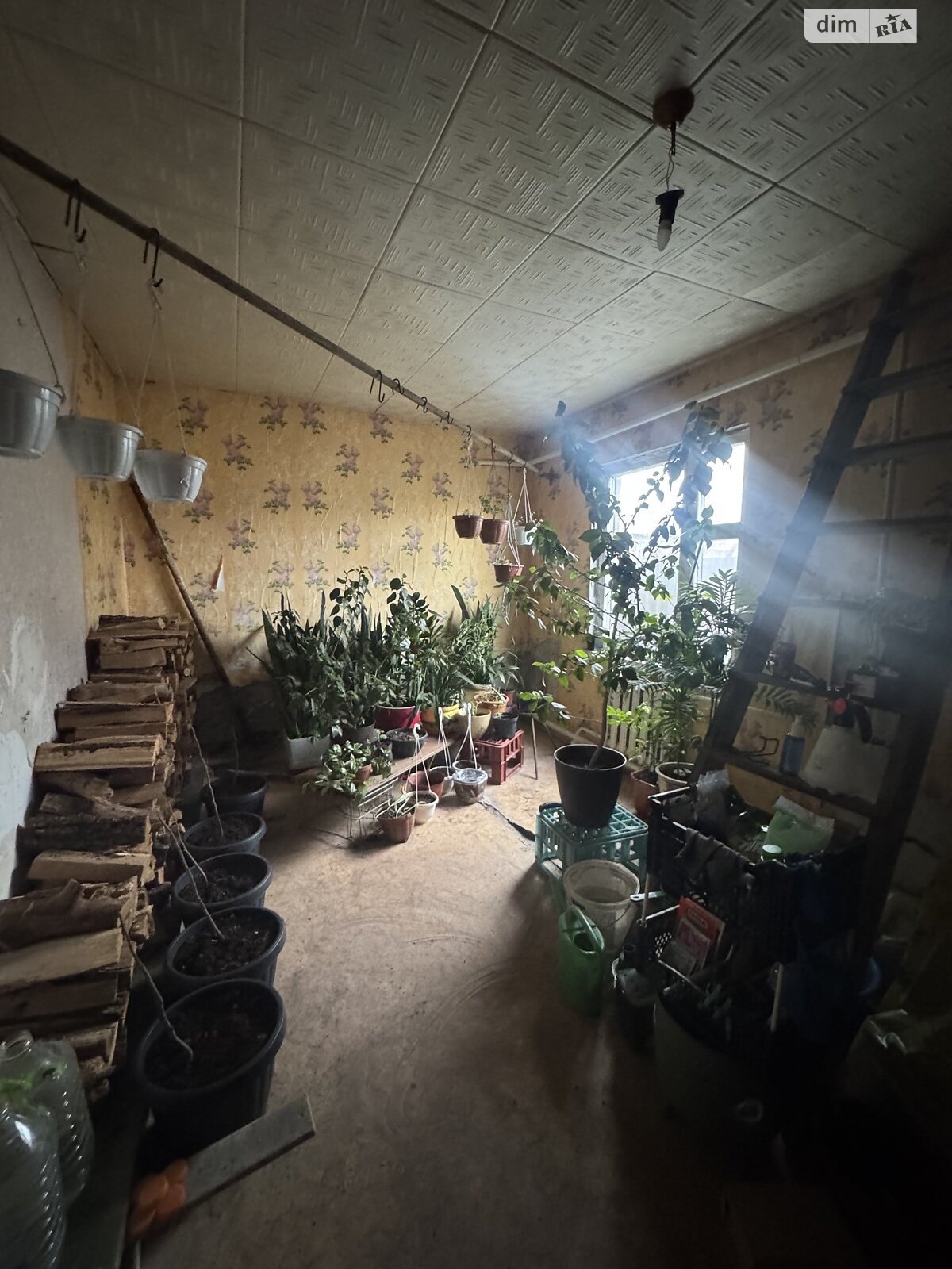 одноповерховий будинок, 125 кв. м, цегла. Продаж в Одесі, район Курсаки фото 1 одноповерховий будинок, 125 кв. м, цегла. Продаж в Одесі, район Курсаки фото 1