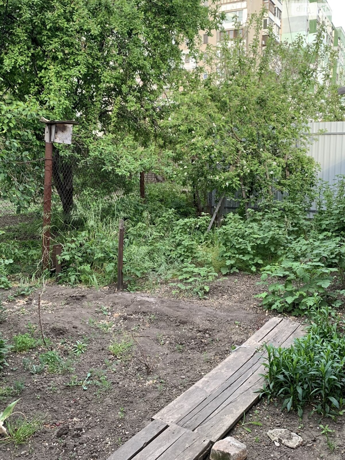 одноповерховий будинок з верандою, 75 кв. м, цегла. Продаж в Одесі, район Курсаки фото 1 одноповерховий будинок з верандою, 75 кв. м, цегла. Продаж в Одесі, район Курсаки фото 1