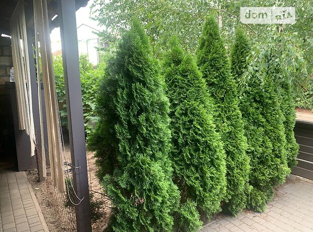 двухэтажный дом с балконом, 70 кв. м, газобетон. Продажа в Лески (Одесская обл.) фото 1 двухэтажный дом с балконом, 70 кв. м, газобетон. Продажа в Лески (Одесская обл.) фото 1