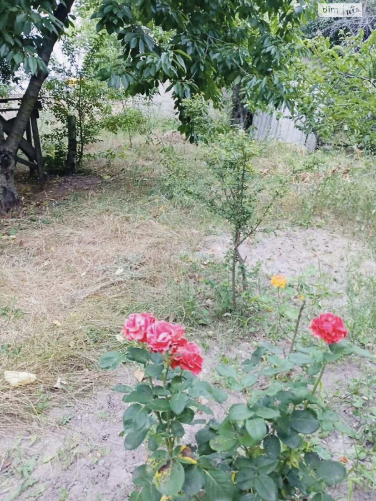 двоповерховий будинок, 250 кв. м, кирпич. Продаж у Одесі фото 1 двоповерховий будинок, 250 кв. м, кирпич. Продаж у Одесі фото 1