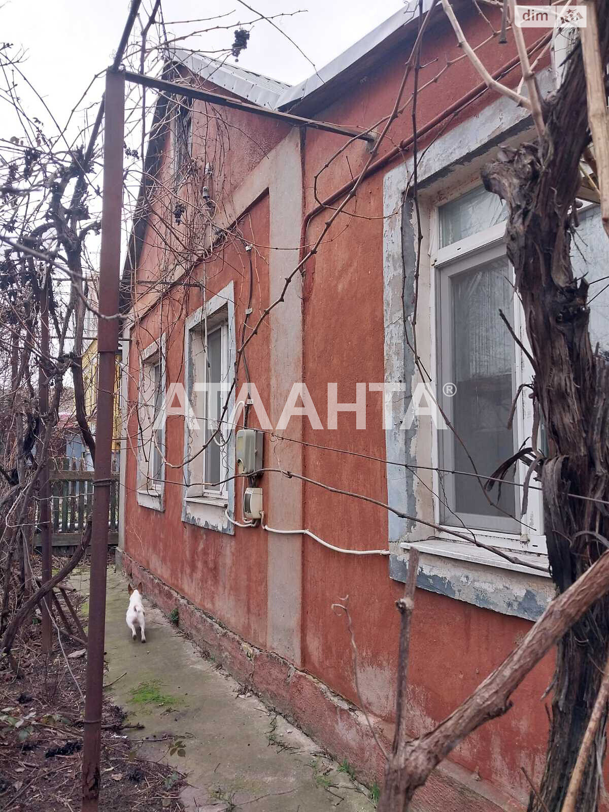 одноповерховий будинок бесідка, 69 кв. м, ракушечник (ракушняк). Продаж в Одесі, район Пересипський фото 1 одноповерховий будинок бесідка, 69 кв. м, ракушечник (ракушняк). Продаж в Одесі, район Пересипський фото 1