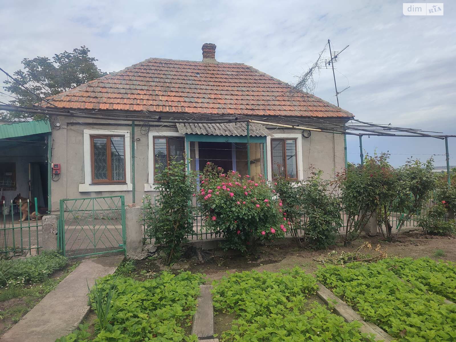 одноповерховий будинок, 70 кв. м, ракушечник (ракушняк). Продаж в Одесі, район Пересипський фото 1 одноповерховий будинок, 70 кв. м, ракушечник (ракушняк). Продаж в Одесі, район Пересипський фото 1