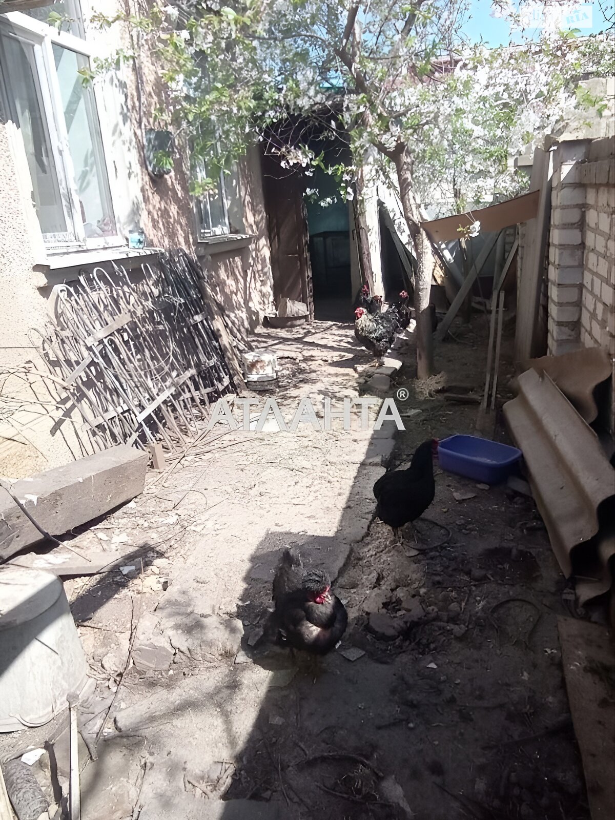 одноповерховий будинок бесідка, 75.1 кв. м, ракушечник (ракушняк). Продаж в Одесі, район Пересипський фото 1 одноповерховий будинок бесідка, 75.1 кв. м, ракушечник (ракушняк). Продаж в Одесі, район Пересипський фото 1