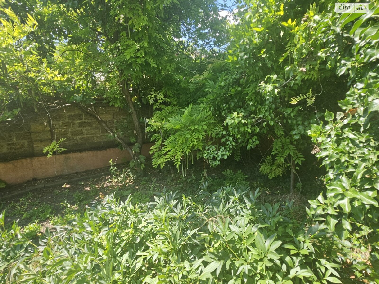 одноэтажный дом с отоплением, 110 кв. м, ракушечник (ракушняк). Продажа в Одессе район Пересыпский фото 1 одноэтажный дом с отоплением, 110 кв. м, ракушечник (ракушняк). Продажа в Одессе район Пересыпский фото 1