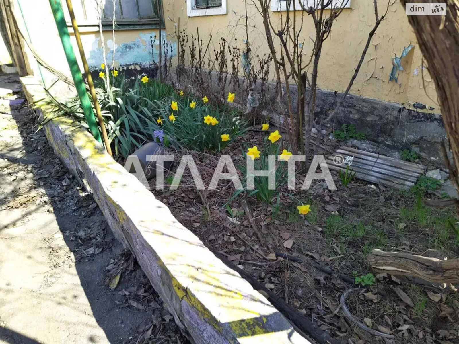 одноэтажный дом беседка, 75 кв. м, ракушечник (ракушняк). Продажа в Одессе район Пересыпский фото 1 одноэтажный дом беседка, 75 кв. м, ракушечник (ракушняк). Продажа в Одессе район Пересыпский фото 1
