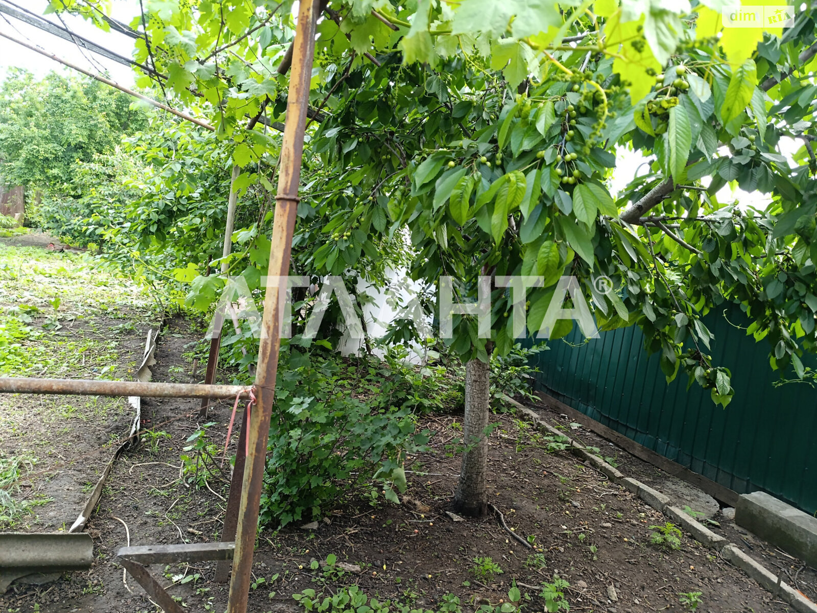 одноэтажный дом беседка, 63.3 кв. м, ракушечник (ракушняк). Продажа в Одессе район Пересыпский фото 1 одноэтажный дом беседка, 63.3 кв. м, ракушечник (ракушняк). Продажа в Одессе район Пересыпский фото 1
