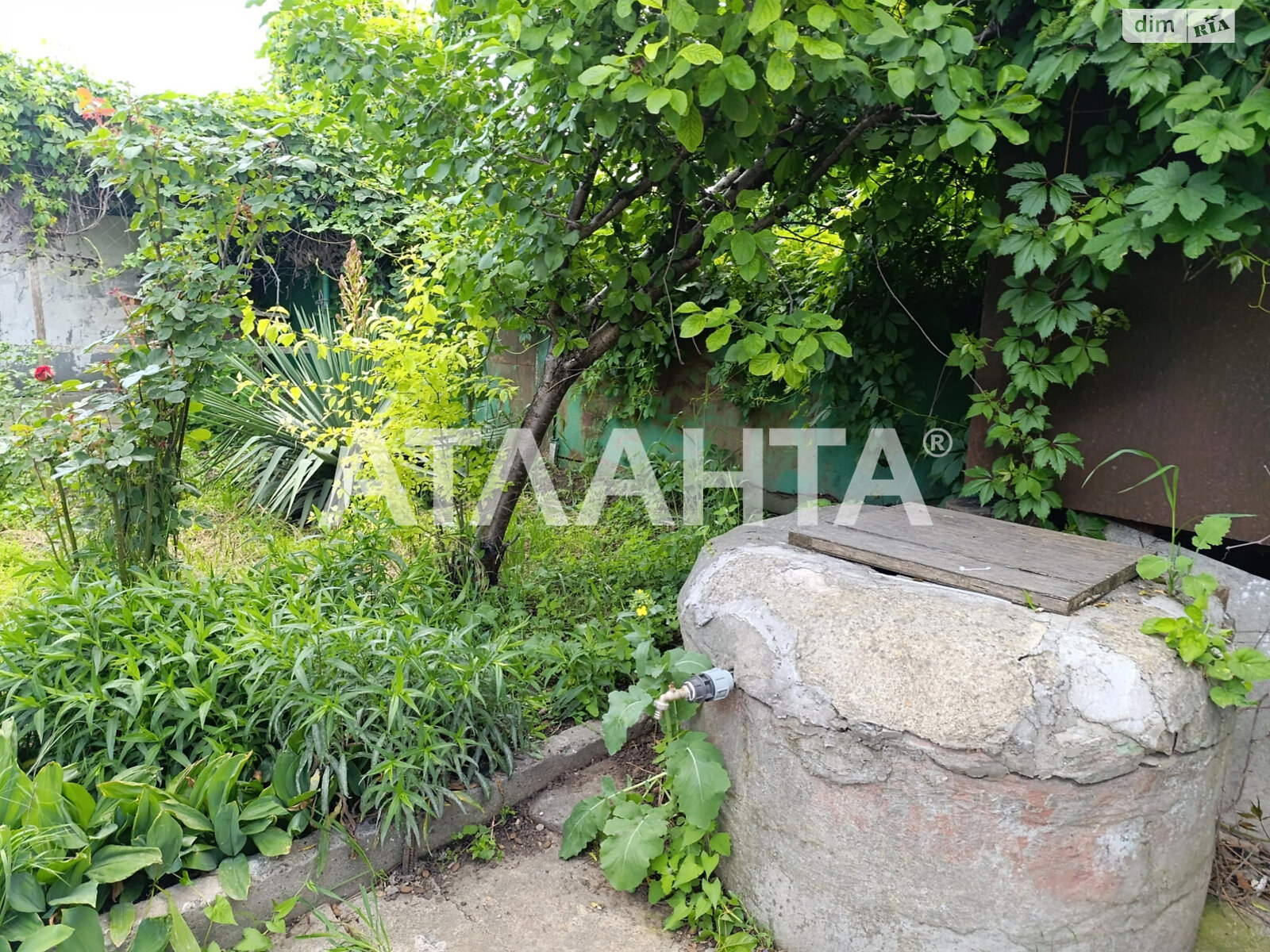 одноэтажный дом беседка, 63.3 кв. м, ракушечник (ракушняк). Продажа в Одессе район Пересыпский фото 1 одноэтажный дом беседка, 63.3 кв. м, ракушечник (ракушняк). Продажа в Одессе район Пересыпский фото 1