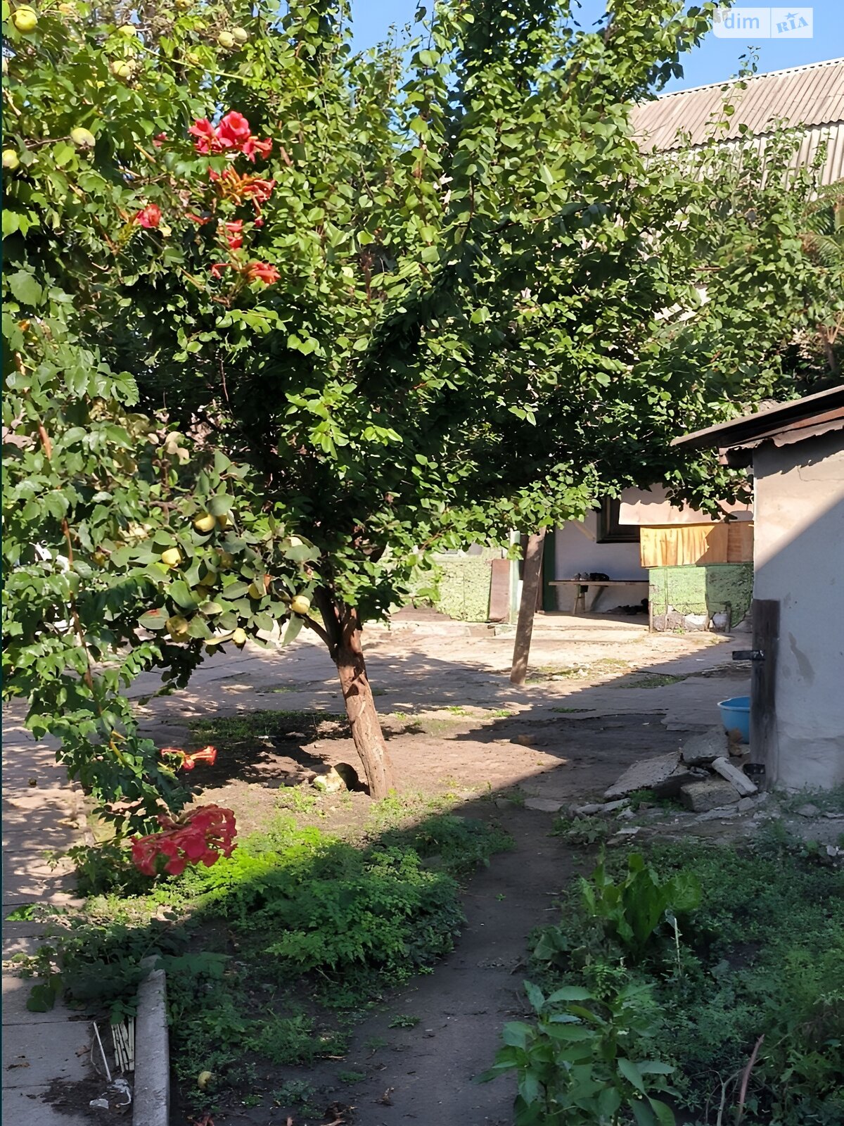 одноэтажный дом, 41 кв. м, ракушечник (ракушняк). Продажа в Одессе район Пересыпский фото 1 одноэтажный дом, 41 кв. м, ракушечник (ракушняк). Продажа в Одессе район Пересыпский фото 1