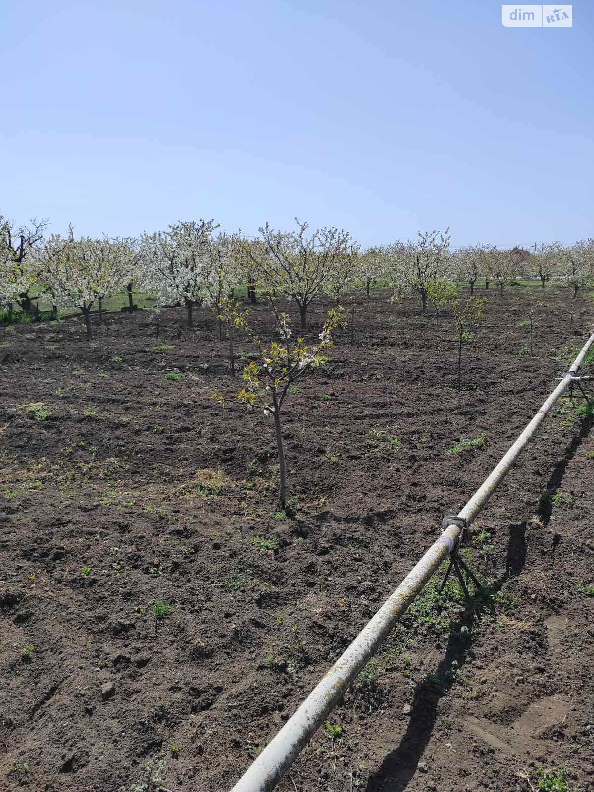 одноэтажный дом, 120 кв. м, блочно-кирпичный. Продажа в Одессе район Пересыпский фото 1 одноэтажный дом, 120 кв. м, блочно-кирпичный. Продажа в Одессе район Пересыпский фото 1