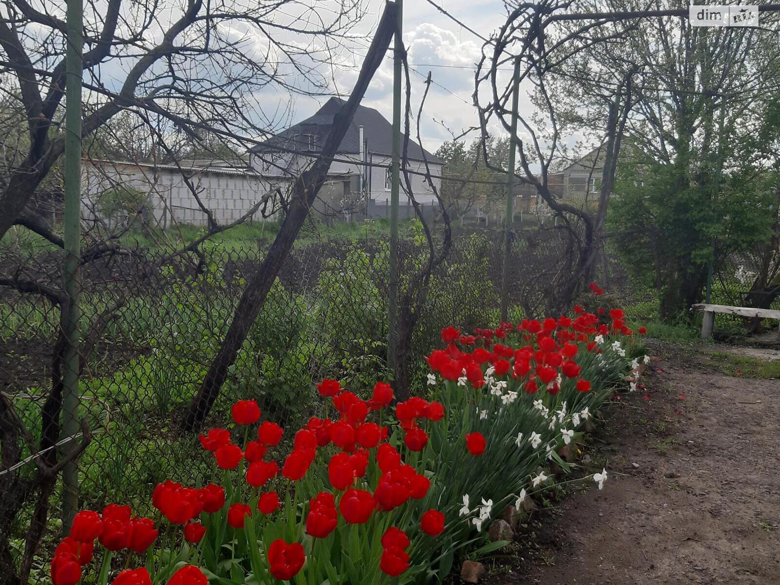 одноповерховий будинок, 100 кв. м, кирпич. Продаж в Одесі, район Селище "Дружне" фото 1