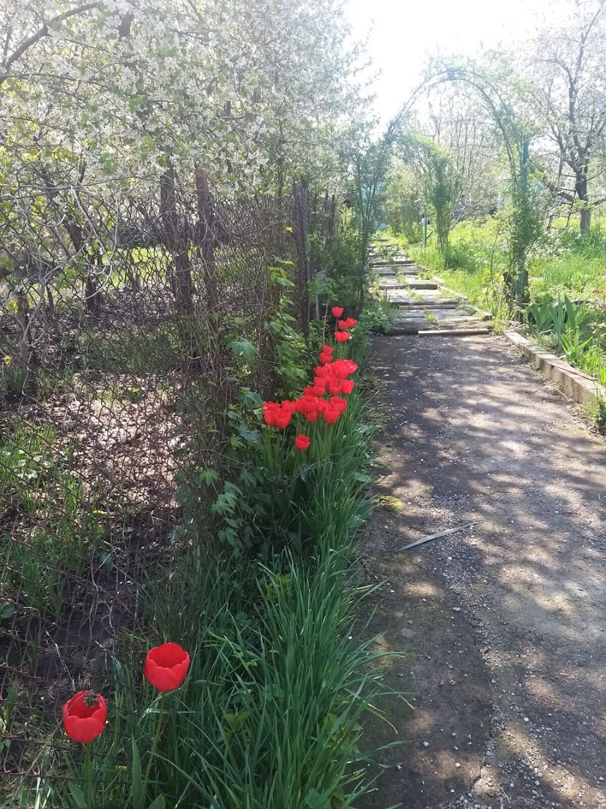 одноэтажный дом с ремонтом, 128 кв. м, кирпич. Продажа в Одессе район Слободка фото 1