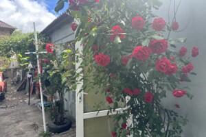 одноповерховий будинок, 60 кв. м, кирпич. Продаж в Одесі, район Слободка фото 2