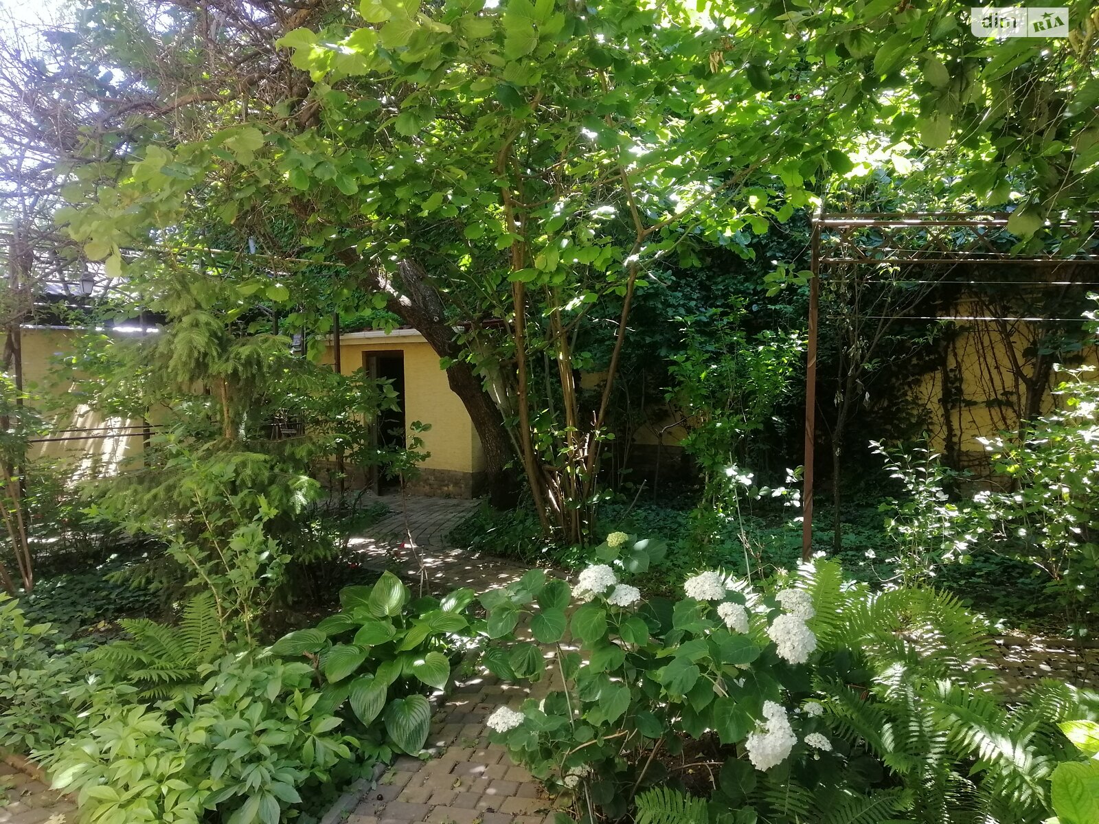 трехэтажный дом, 248 кв. м, кирпич. Продажа в Одессе район Средний Фонтан фото 1 трехэтажный дом, 248 кв. м, кирпич. Продажа в Одессе район Средний Фонтан фото 1