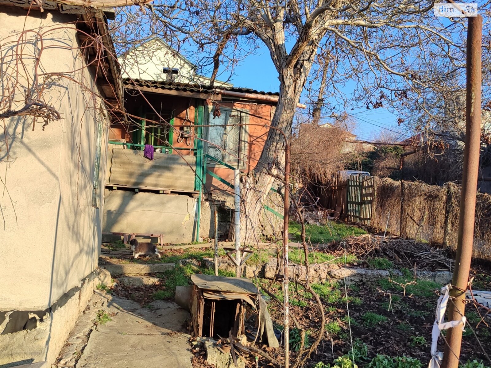 одноповерховий будинок, 36 кв. м, ракушечник (ракушняк). Продаж у Одесі фото 1 одноповерховий будинок, 36 кв. м, ракушечник (ракушняк). Продаж у Одесі фото 1