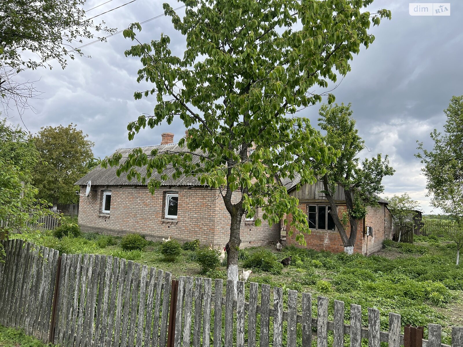 одноповерховий будинок з опаленням, 49 кв. м, дерево та цегла. Продаж у Охотині фото 1 одноповерховий будинок з опаленням, 49 кв. м, дерево та цегла. Продаж у Охотині фото 1