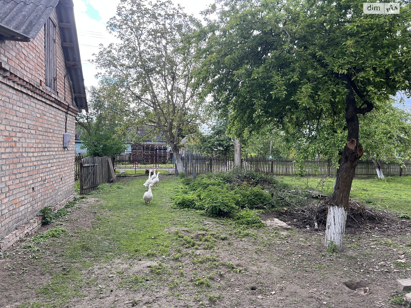 одноповерховий будинок з опаленням, 49 кв. м, дерево та цегла. Продаж у Охотині фото 1 одноповерховий будинок з опаленням, 49 кв. м, дерево та цегла. Продаж у Охотині фото 1