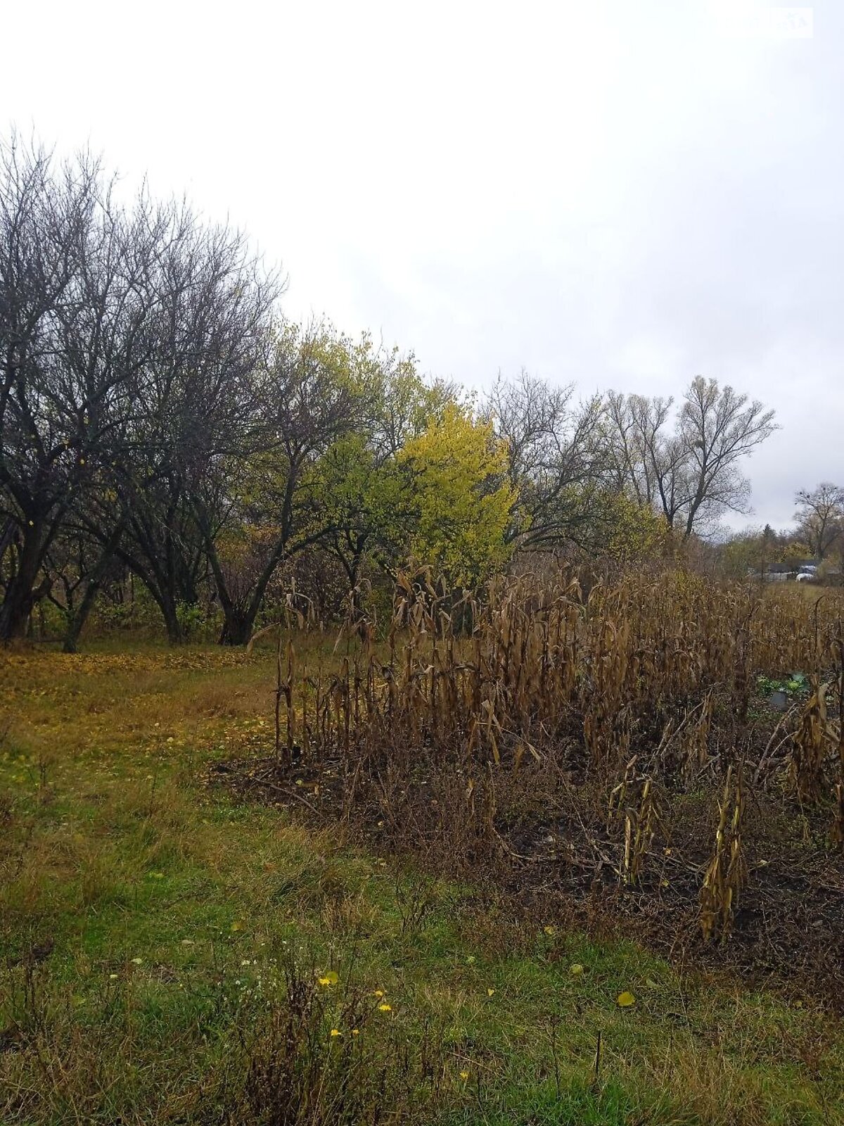 одноэтажный дом с отоплением, 100 кв. м, дерево и кирпич. Продажа в Ольшане фото 1