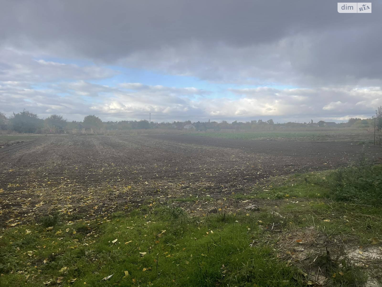 одноповерховий будинок з меблями, 79.7 кв. м, цегла. Продаж у Ольшаниці фото 1 одноповерховий будинок з меблями, 79.7 кв. м, цегла. Продаж у Ольшаниці фото 1