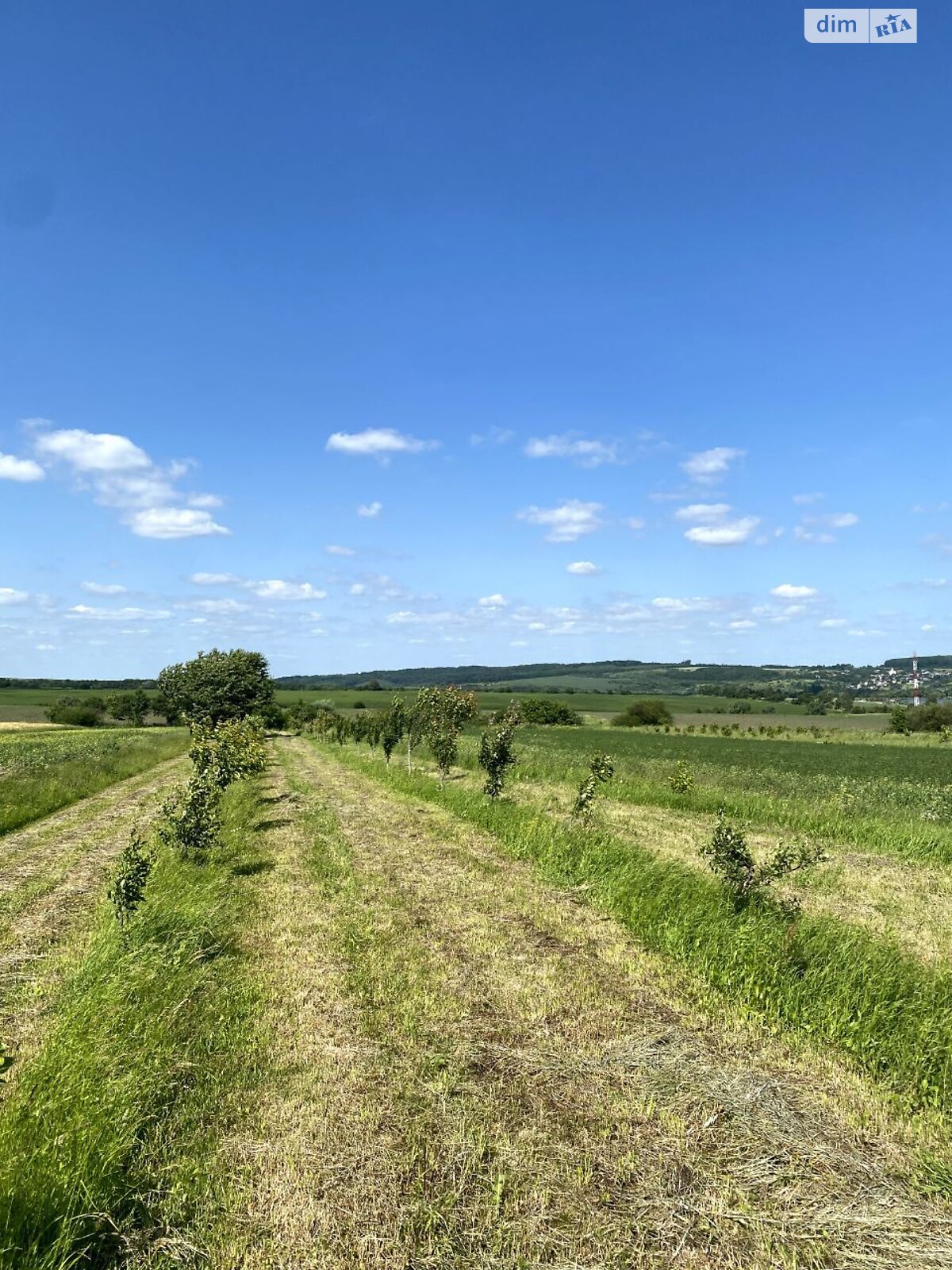 двухэтажный дом беседка, 255.3 кв. м, кирпич. Продажа в Ольшанице фото 1 двухэтажный дом беседка, 255.3 кв. м, кирпич. Продажа в Ольшанице фото 1