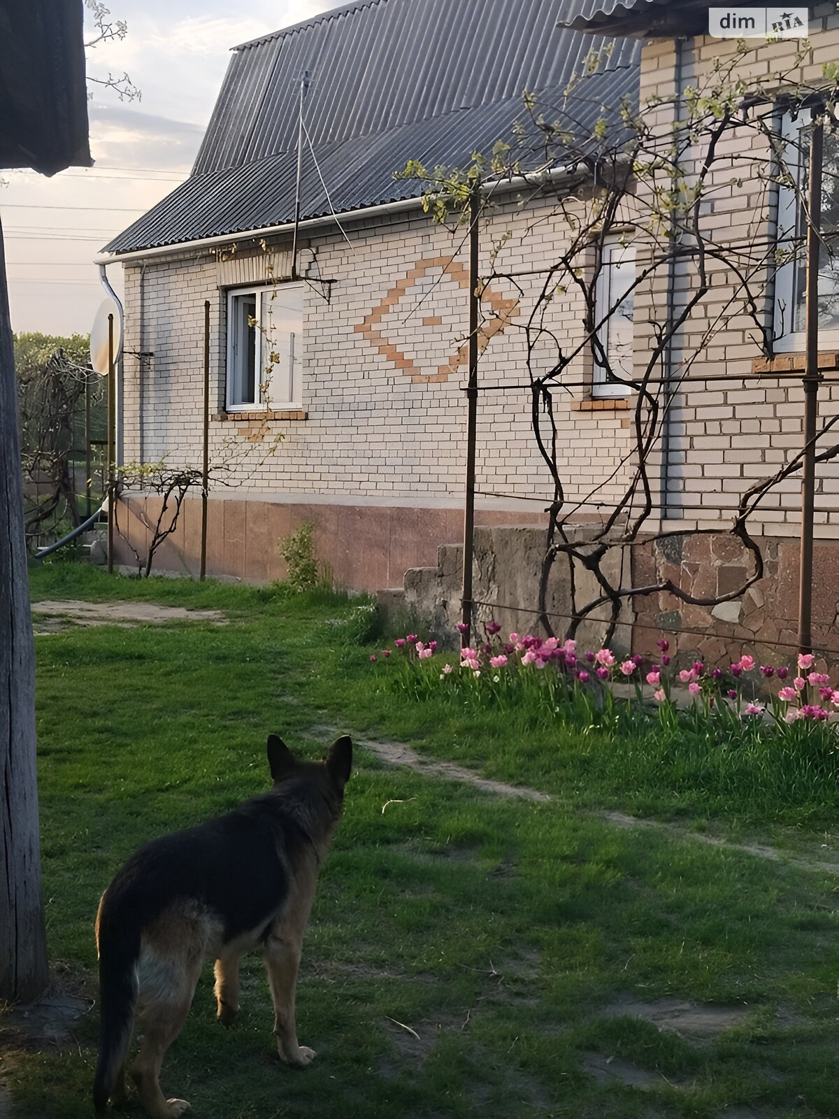 двоповерховий будинок з верандою, 108 кв. м, цегла. Продаж у Ольшаниці фото 1 двоповерховий будинок з верандою, 108 кв. м, цегла. Продаж у Ольшаниці фото 1