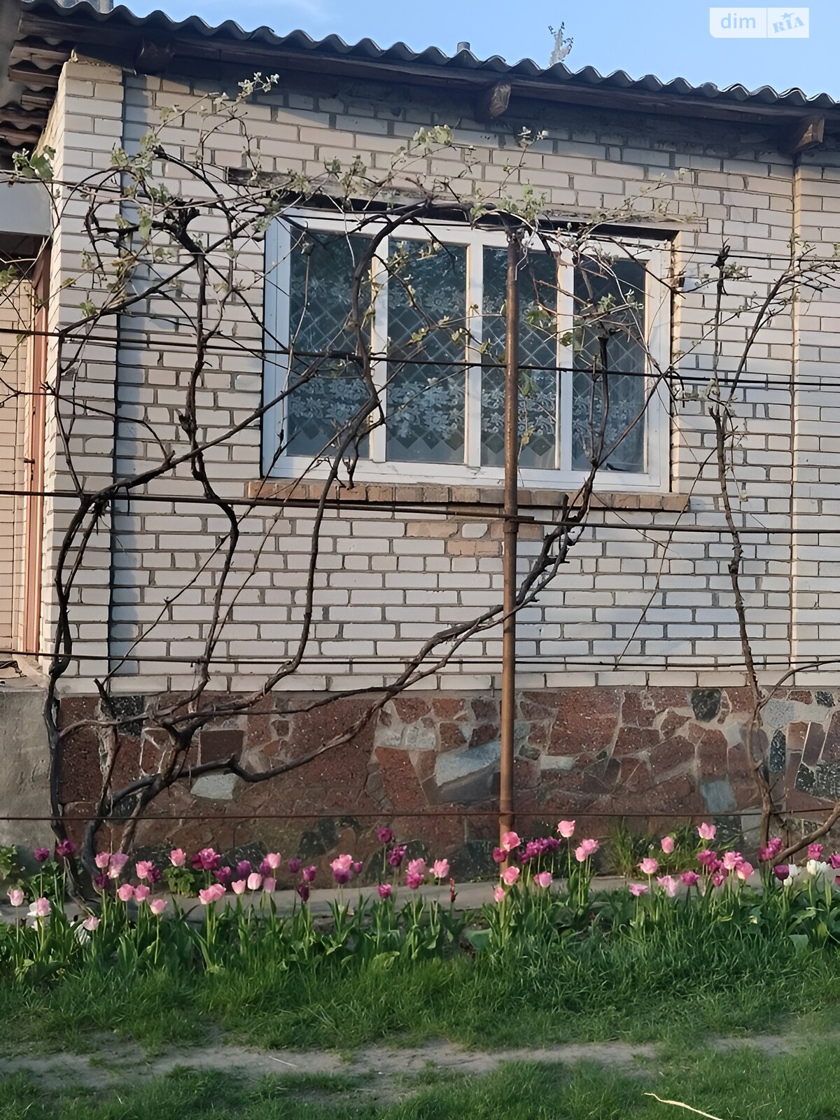 двоповерховий будинок з верандою, 108 кв. м, цегла. Продаж у Ольшаниці фото 1 двоповерховий будинок з верандою, 108 кв. м, цегла. Продаж у Ольшаниці фото 1