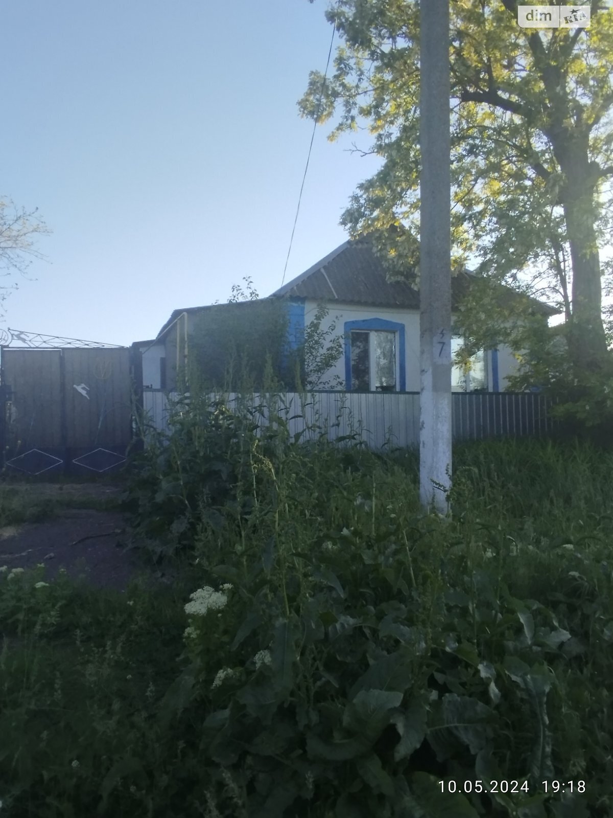 одноповерховий будинок, 60 кв. м, ракушечник (ракушняк). Продаж у Ониськове фото 1 одноповерховий будинок, 60 кв. м, ракушечник (ракушняк). Продаж у Ониськове фото 1