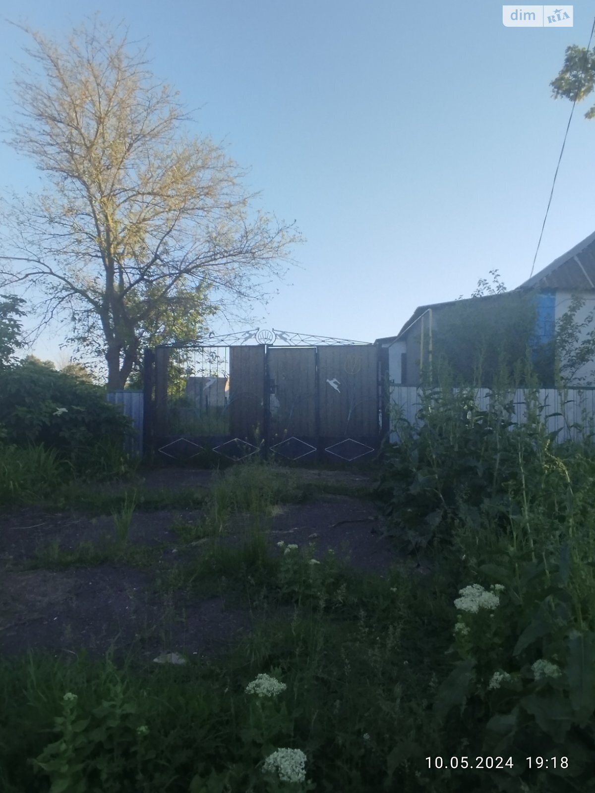 одноповерховий будинок, 60 кв. м, ракушечник (ракушняк). Продаж у Ониськове фото 1 одноповерховий будинок, 60 кв. м, ракушечник (ракушняк). Продаж у Ониськове фото 1