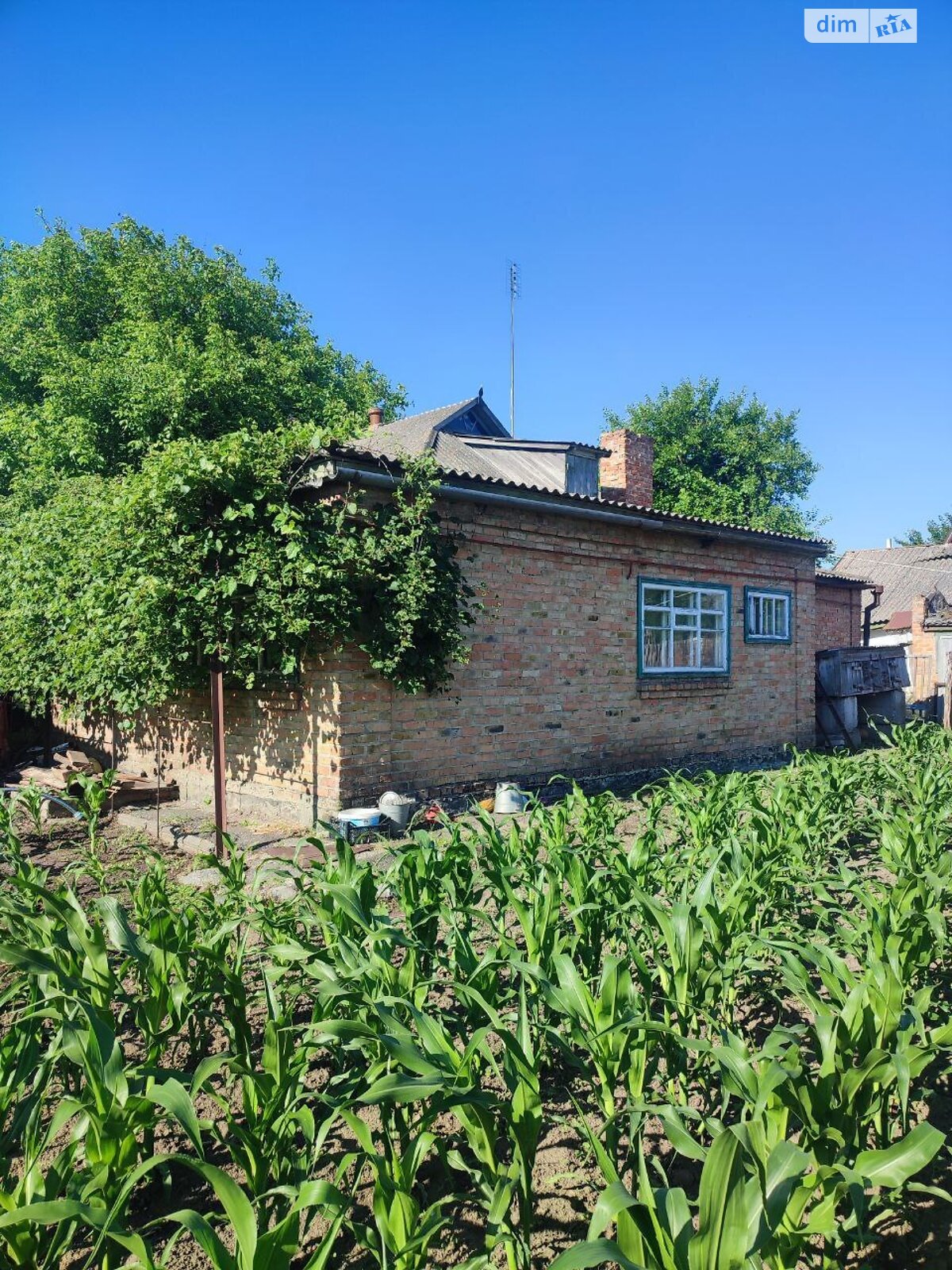 одноэтажный дом, 96 кв. м, кирпич. Продажа в Онуфриевке район Онуфриевка фото 1